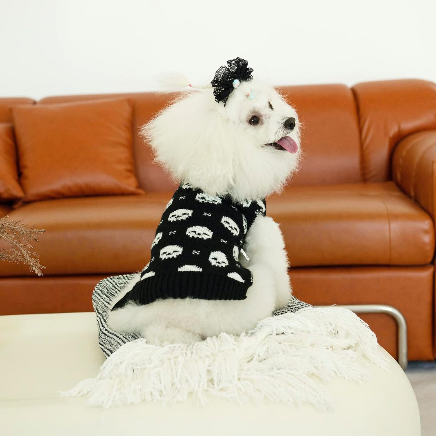 CuteBone Suéter de calavera para perros medianos, ropa de invierno para mascotas, suéter de punto cálido con agujero para arnés