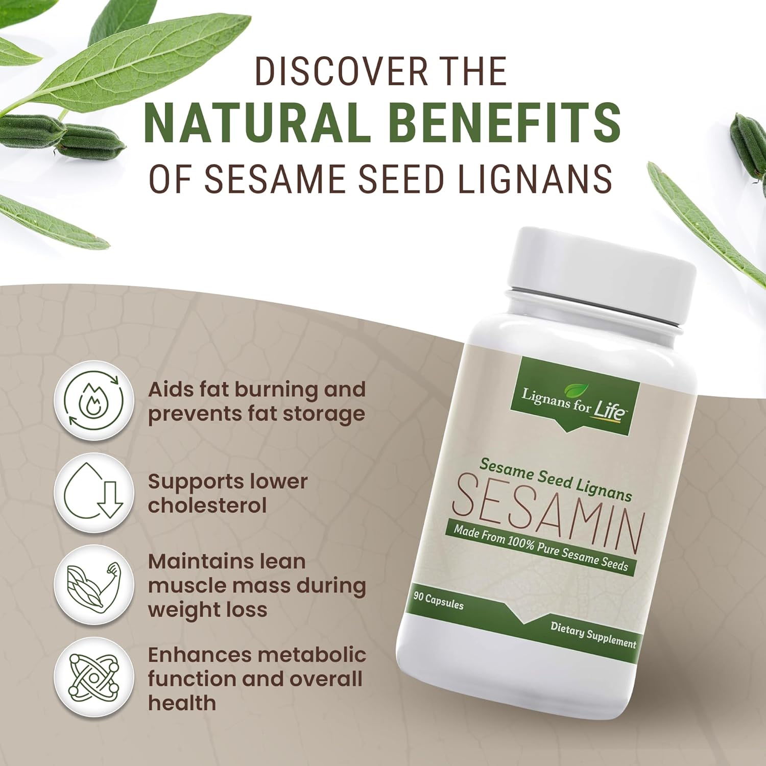 Lignans For Life Extracto de sésamo – 540 mg con 81 mg de sesamina y 27 mg de sesamolina, suplemento de salud hepática y apoyo inmunológico para el