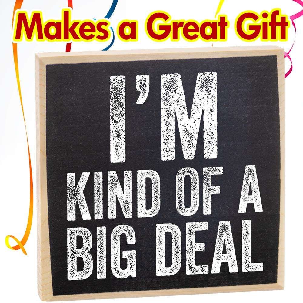 Letrero de madera con texto en inglés “I’m Kind Of A Big Deal”, decoración divertida para el hogar, oficina, divertidos letreros de oficina, gran