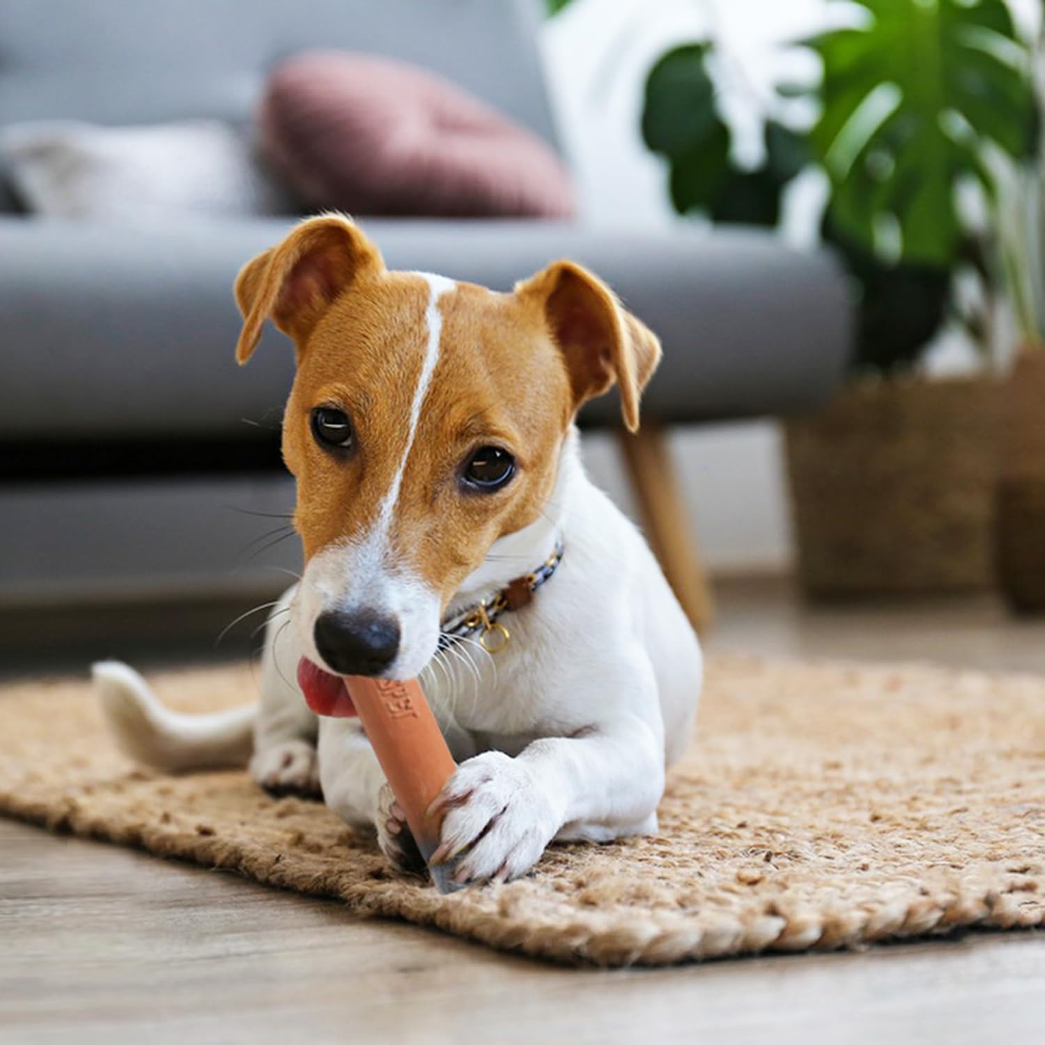 LLSPET Juguetes chirriantes de cigarros, juguetes interactivos de látex para perros, divertidos juguetes para masticar cigarros, para dentición de