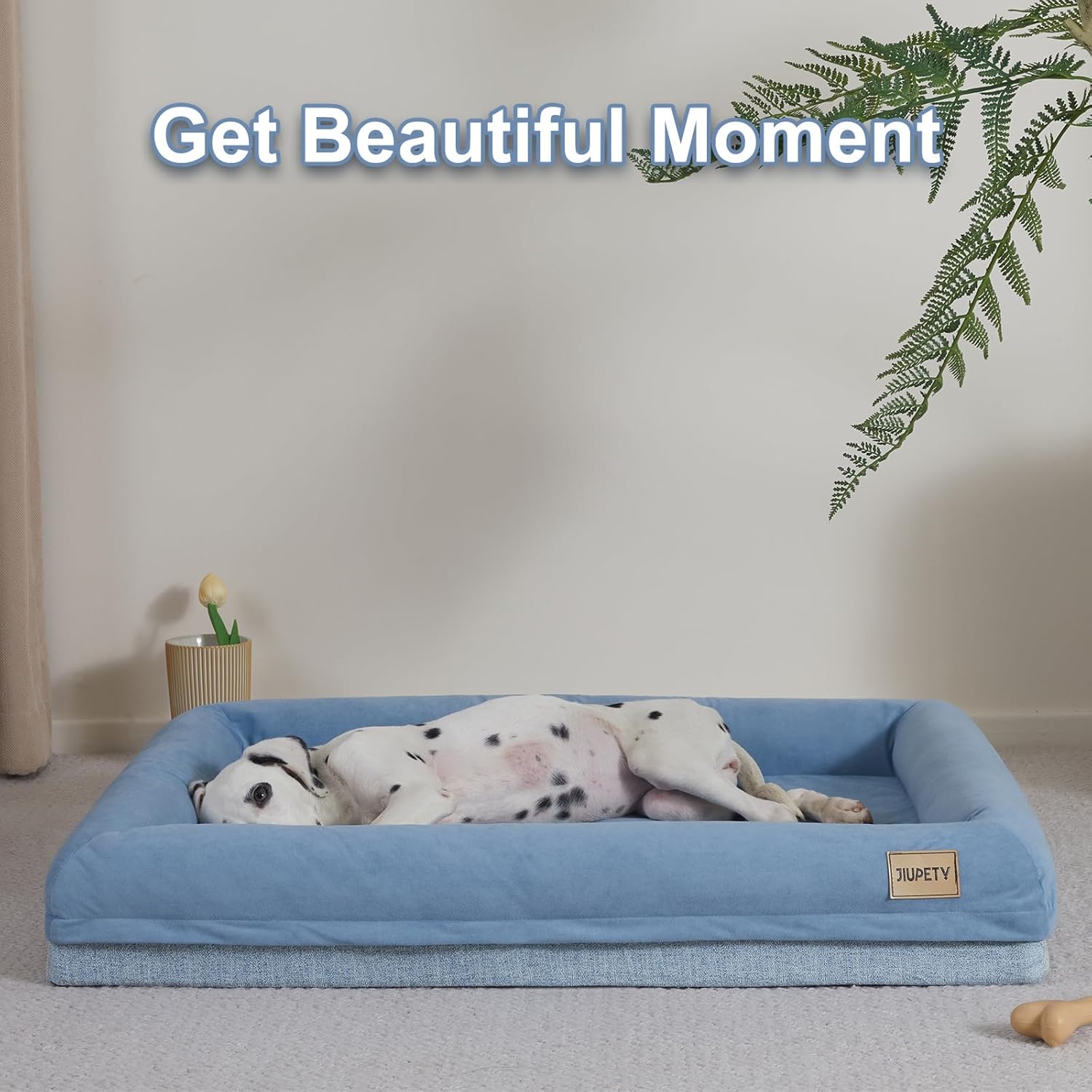Jiupety Cama ortopédica para perros medianos, cama de espuma impermeable para perros con funda extraíble lavable, sofá para perro con caja de