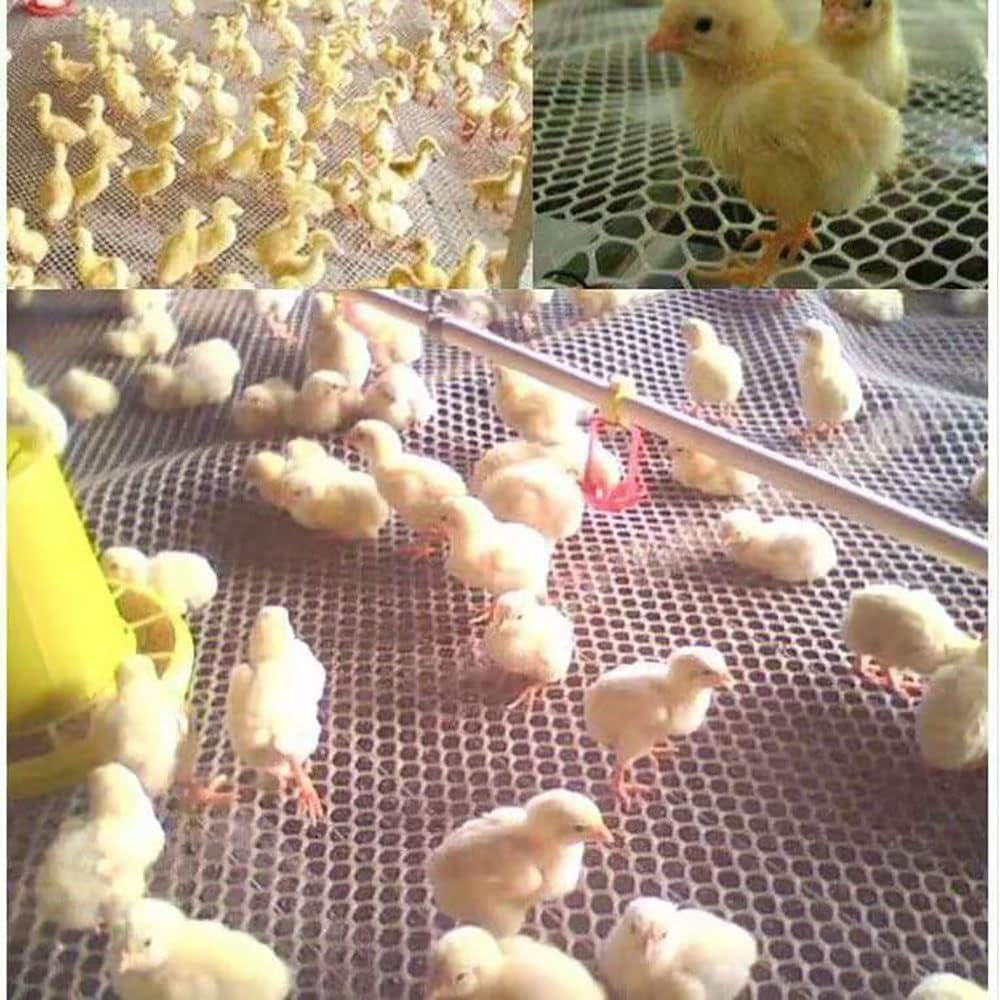 Malla de alambre de plástico blanco de 15.7 pulgadas x 10 pies, malla hexagonal de plástico para pollo, valla de malla de plástico mejorada para