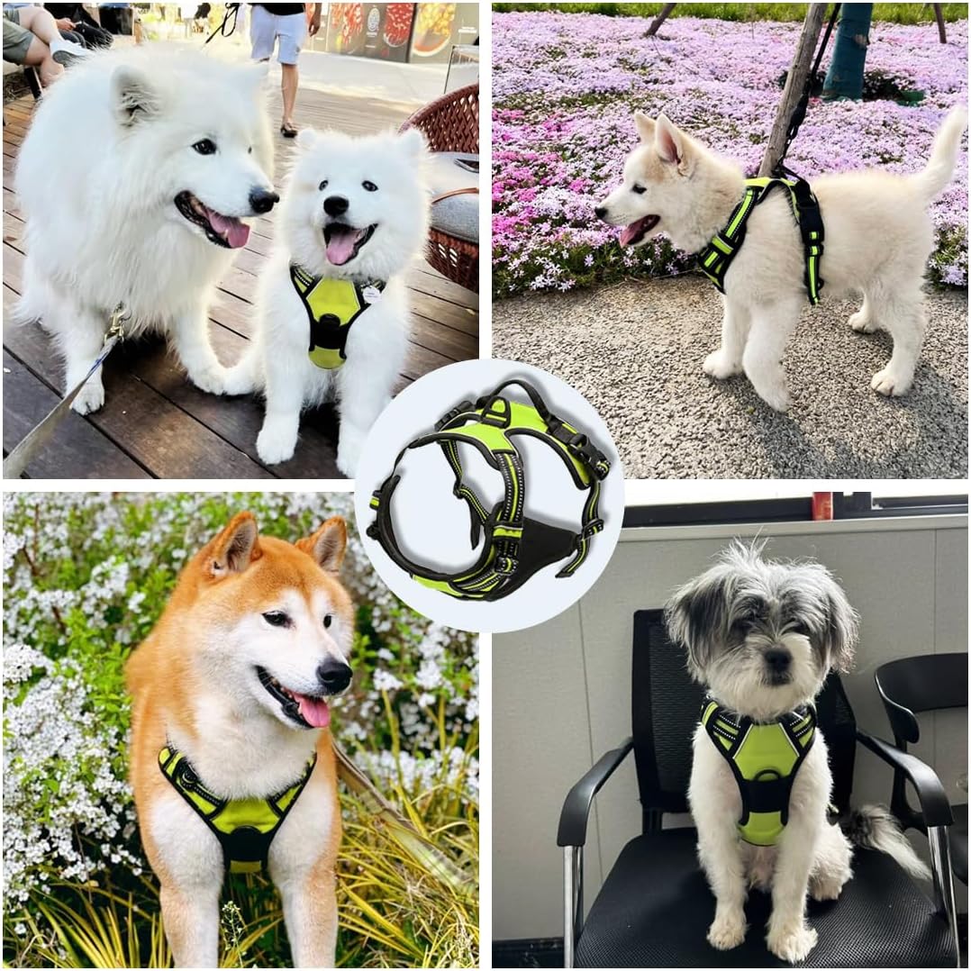 Conjunto de arnés y correa para perro, arnés de entrenamiento sin tirones en el pecho para perro con correa ajustable para exteriores, chaleco para