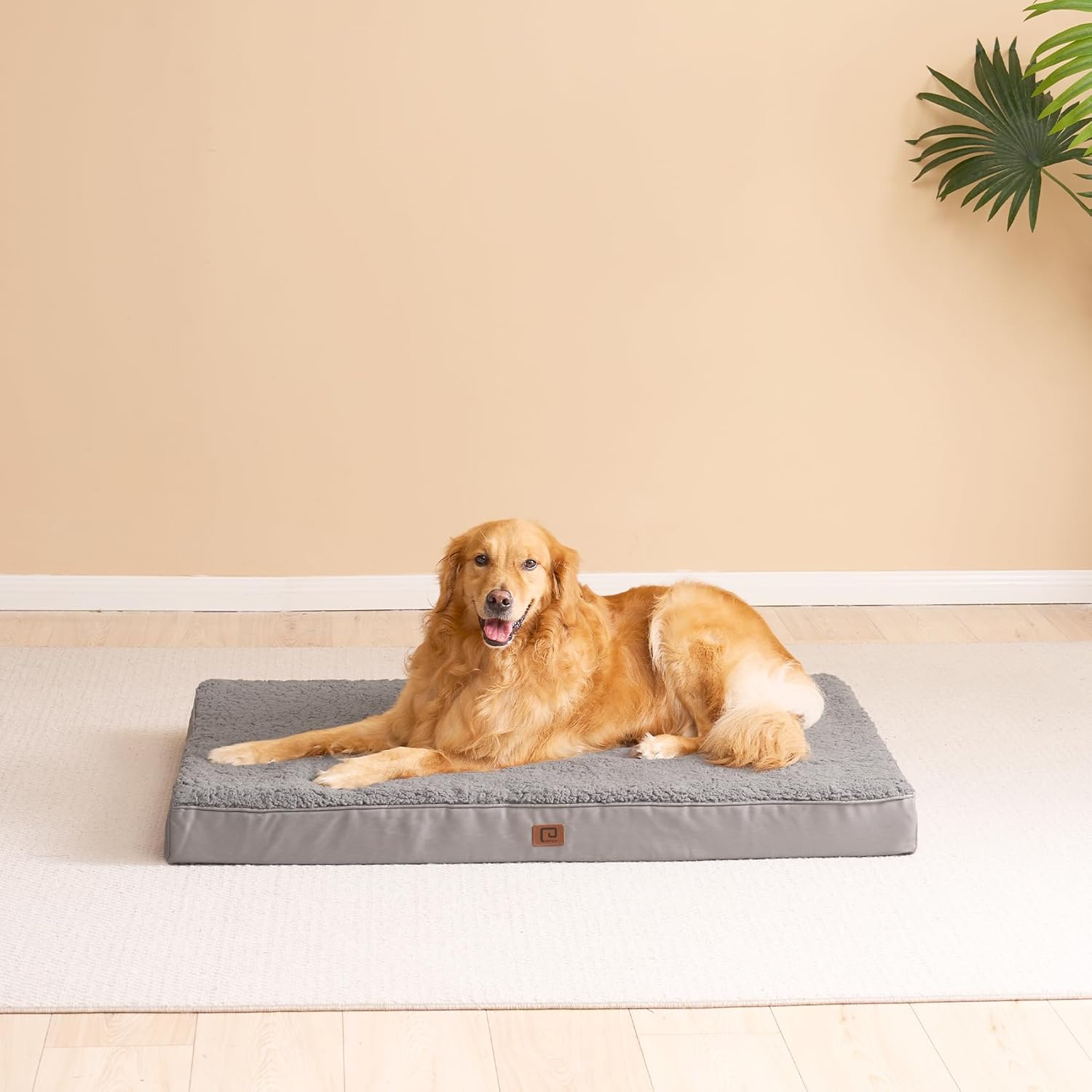 EHEYCIGA Camas lavables para perros extragrandes, cama para perros XL con funda extraíble para jaula, cama ortopédica de espuma para mascotas,