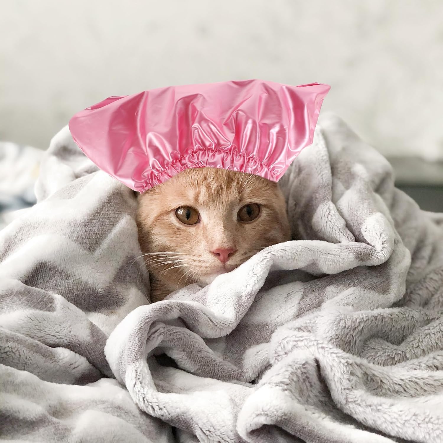VILLCASE Gorro de ducha para perros y gatos, gorro de ducha para mascotas, cubiertas para orejas de perro que sobresalen para baño, protección para