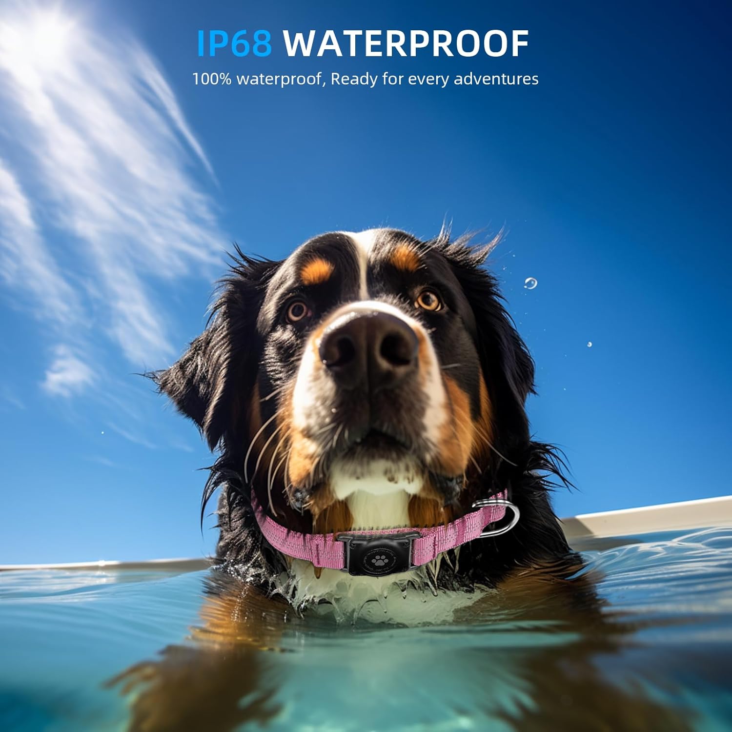 AirTag – Collar de perro, resistente al agua IP68, soporte para collar de perro, reflectante, ultra duradero, cómodo acolchado, collares de perro