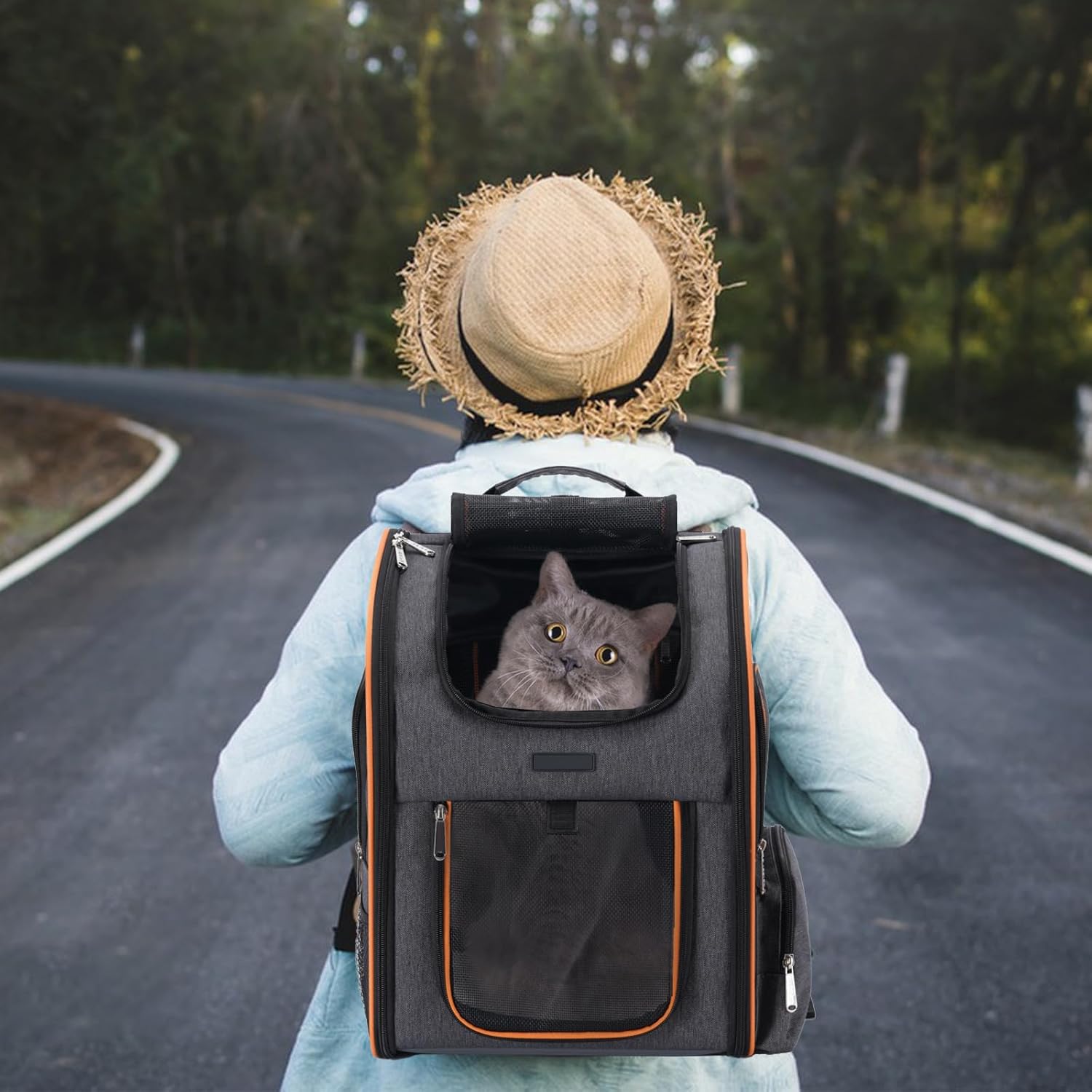 Mochila transportadora para gatos, mochila para perros pequeños, medianos y gatos, mochila expandible aprobada por aerolíneas para perros pequeños,