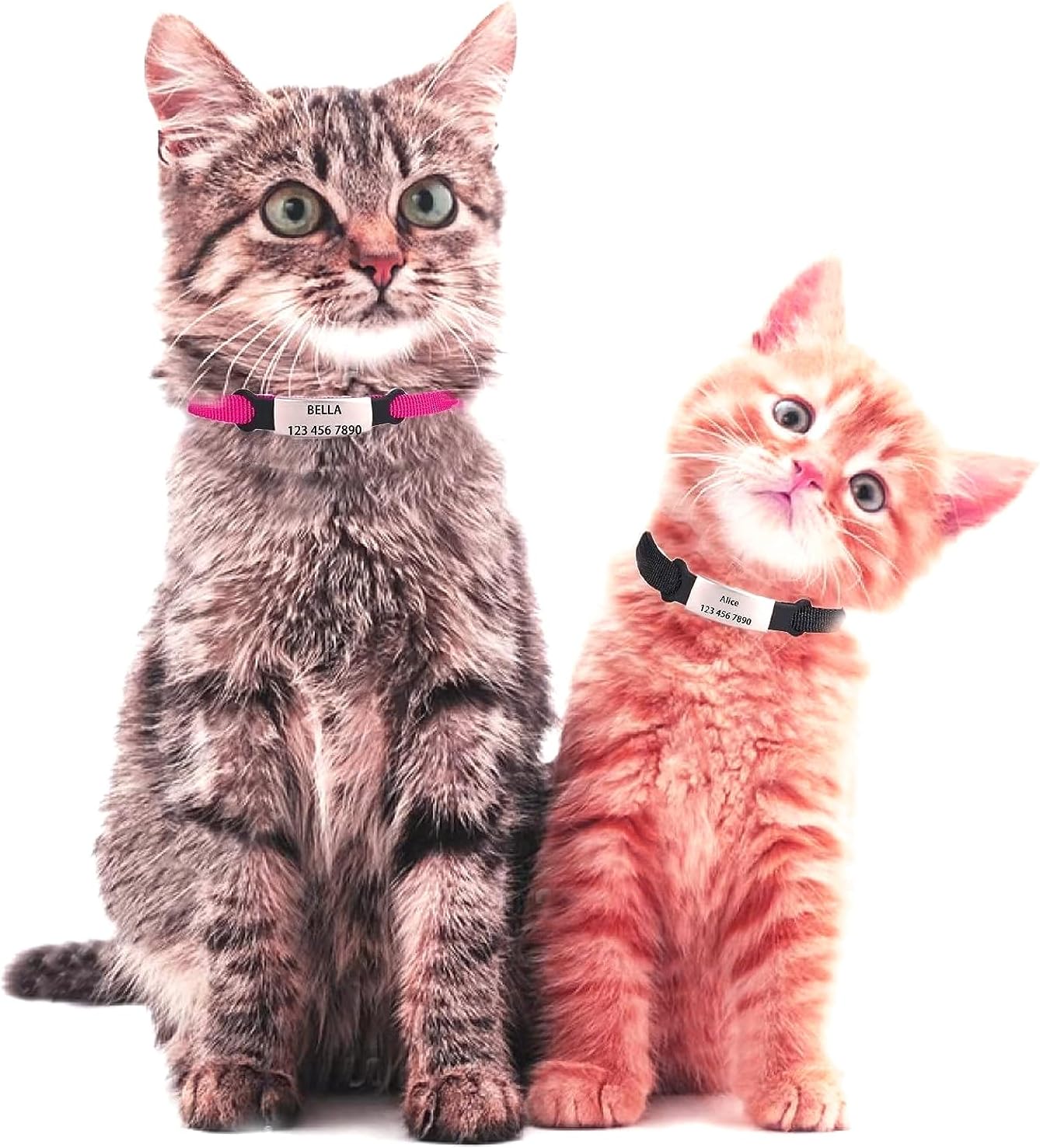 Pimaodog Collares de gato personalizados, nombre personalizado y número de teléfono, collares de seguridad para gatitos con campana para gatos niños