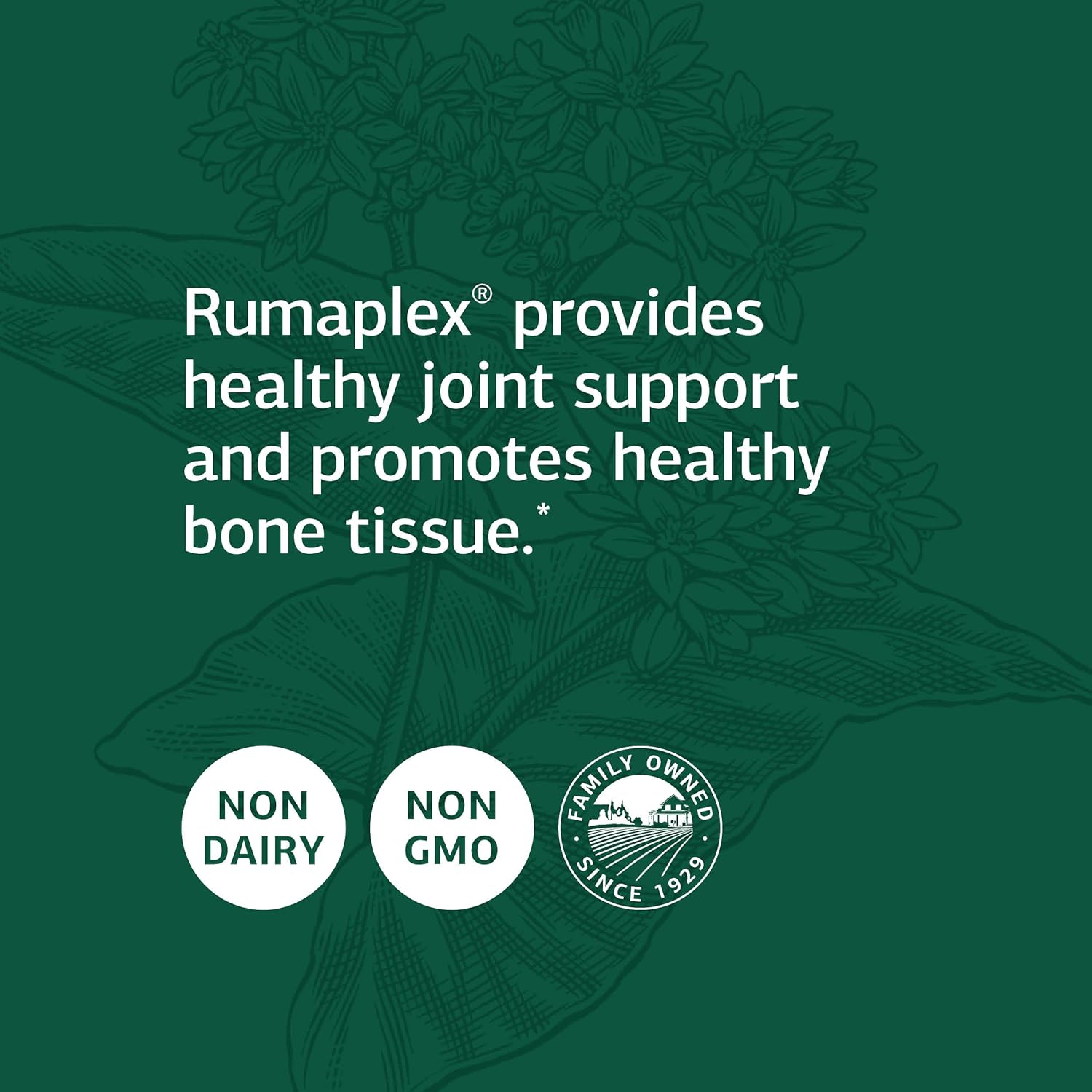 Standard Process Rumaplex – Apoyo óseo de alimentos integrales y salud ósea, colesterol y apoyo articular con clorhidrato de betaína, salvado de