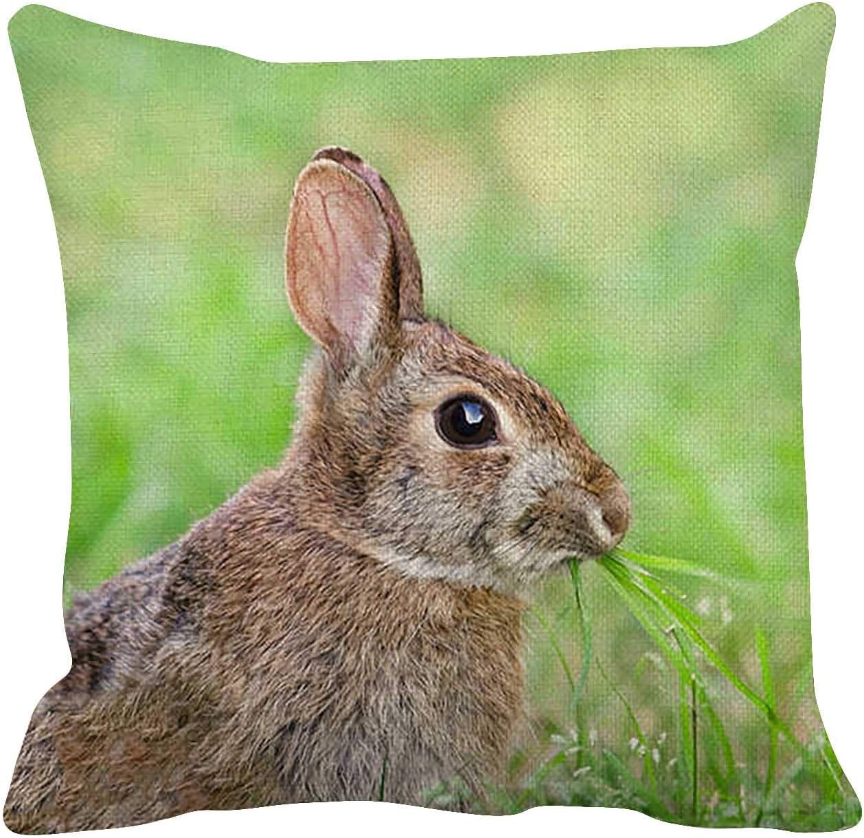 TUNKENCE Funda de cojín para sofá o hogar, 18 x 18 pulgadas
