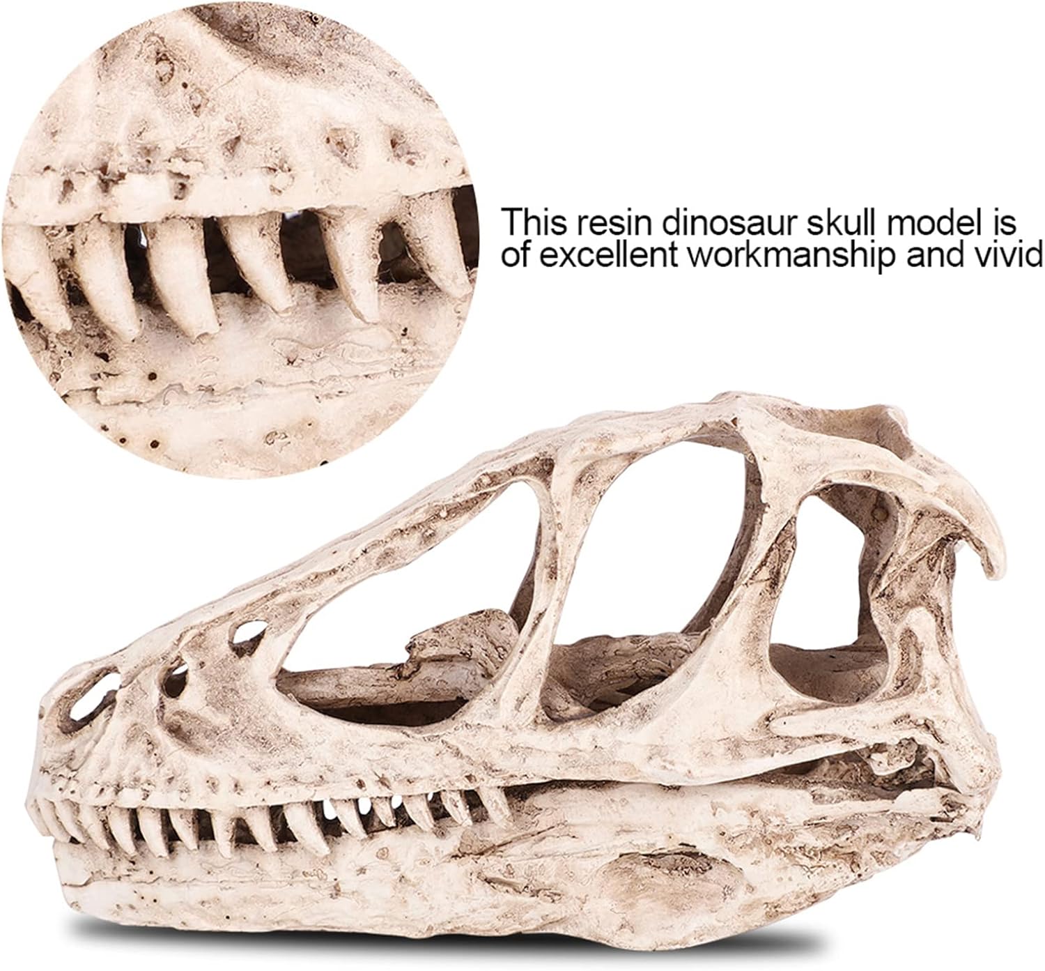 TOPINCN Modelo de calavera de dinosaurio, esqueleto de animal simulado, realista y vívido, perfecto para decoración de oficina en casa, accesorio de