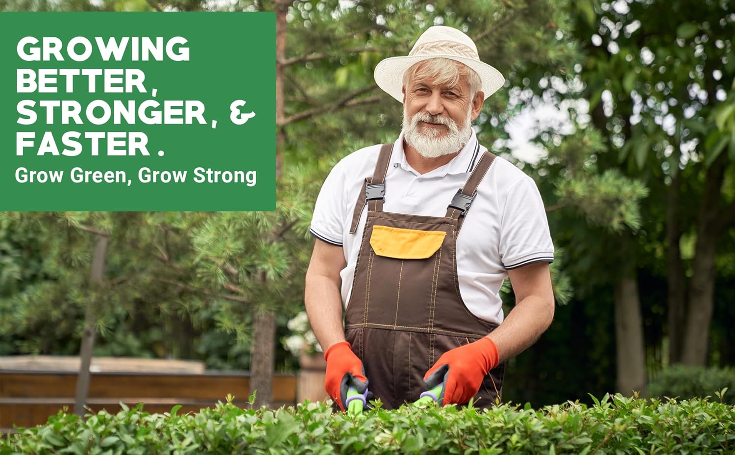 Gardenwise 6-6-6 Fertilizante profesional multiusos para plantas de alimentos ideal para el cuidado de invierno y alimentación de primavera, NPK