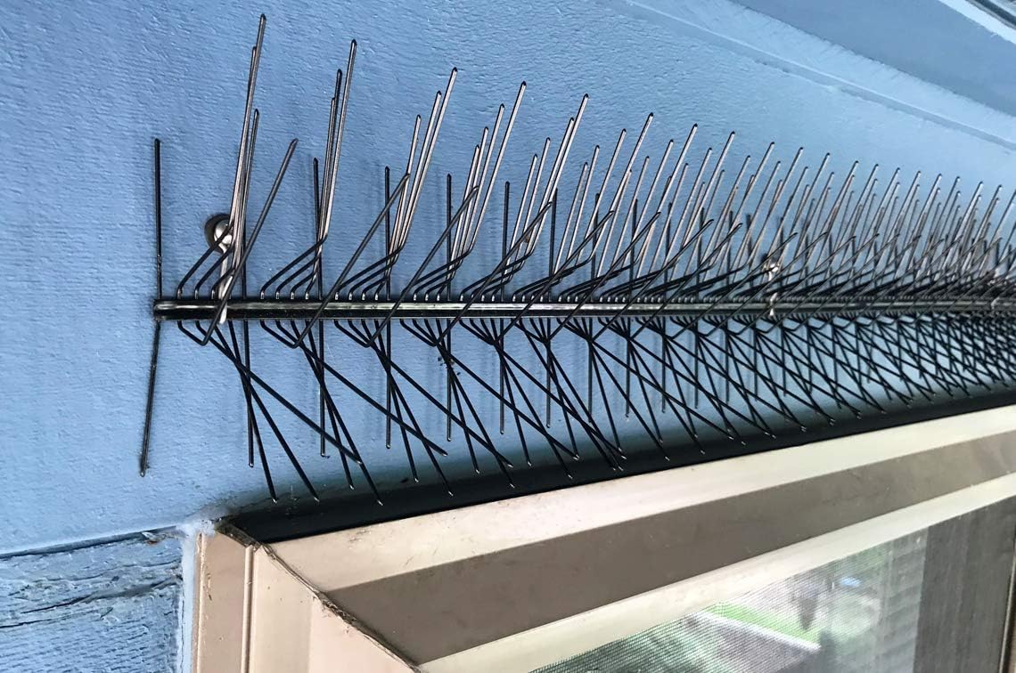 Picos para pájaros montados en la pared Premium Modelo W (tiras de 8 pies, 4-2 pies)