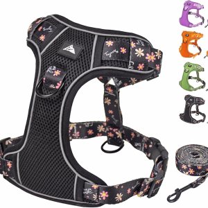 Juego de arnés y correa para perro, chaleco reflectante transpirable ajustable para perros pequeños, medianos, grandes y extra grandes para entrenar Juego de arnés y correa para perro, chaleco reflectante transpirable ajustable para perros pequeños, medianos, grandes y extra grandes para entrenar