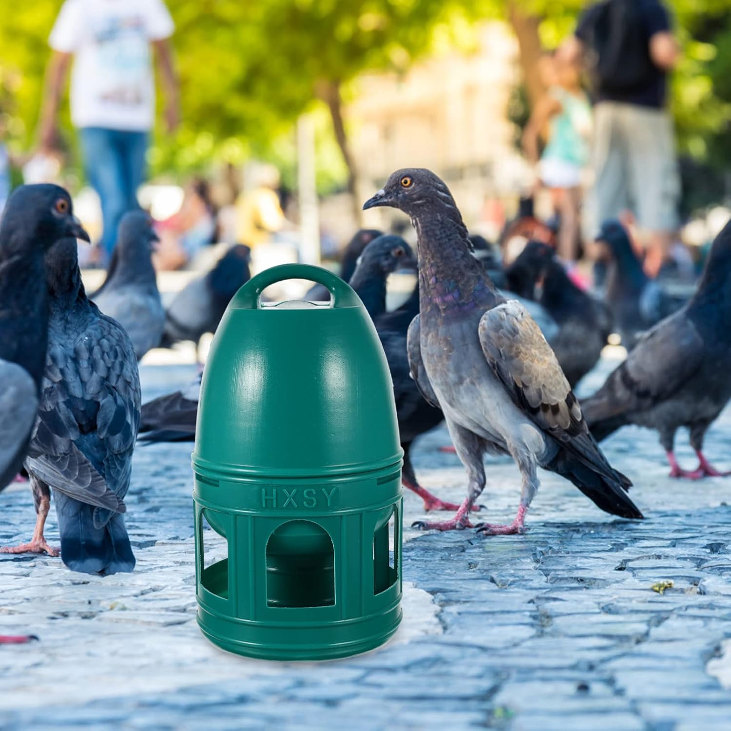 Alipis Dispensador de agua de paloma, tazas de agua de pollo, bebedor de agua para pájaros, bebedero de codornices de plástico, alimentadores