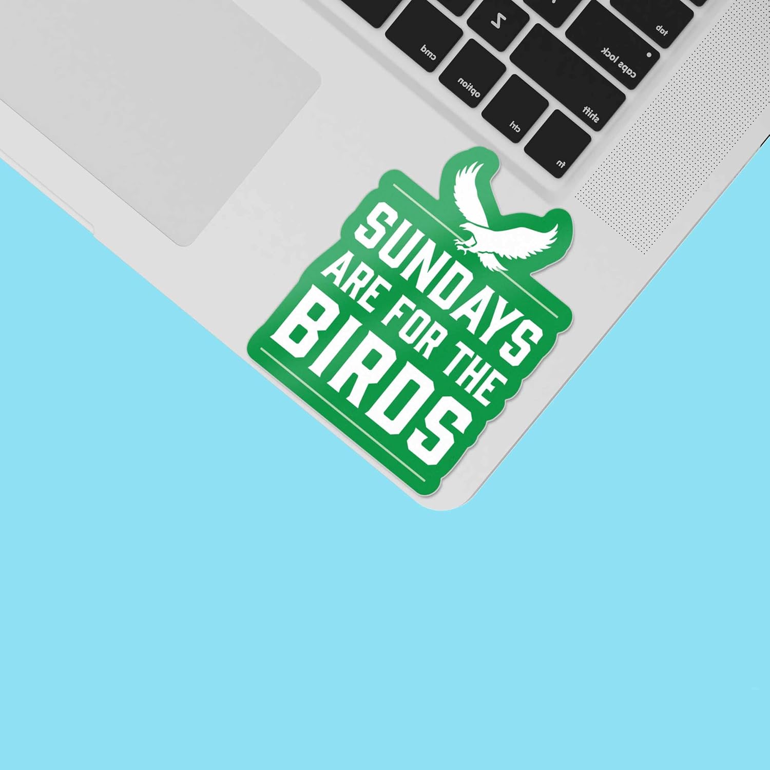 Sundays are for the Birds Philadelphia Sticker for Hydroflask Water Bottle, Philly Football Laptop Decals