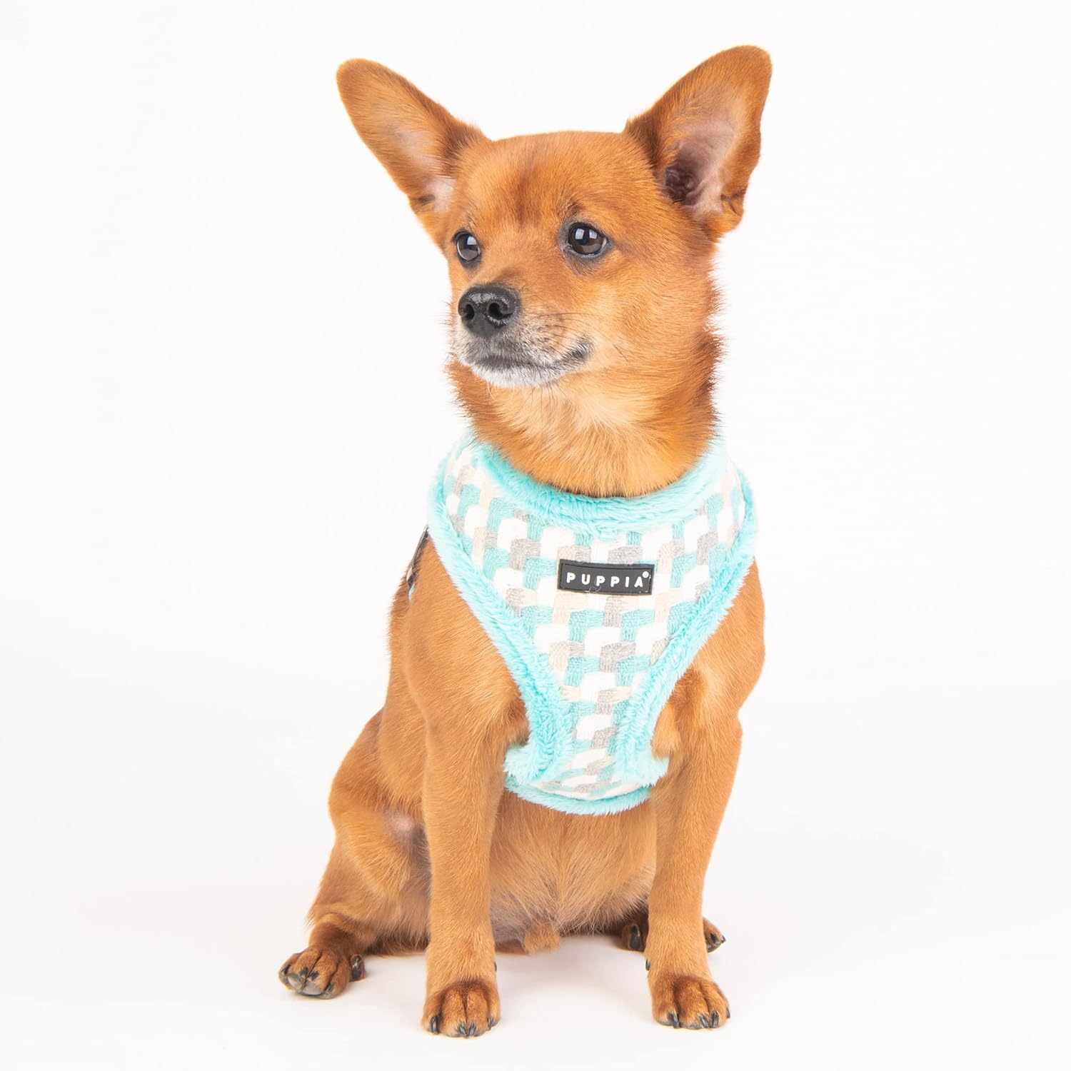 Puppia Arden Arnés A – Aqua – L