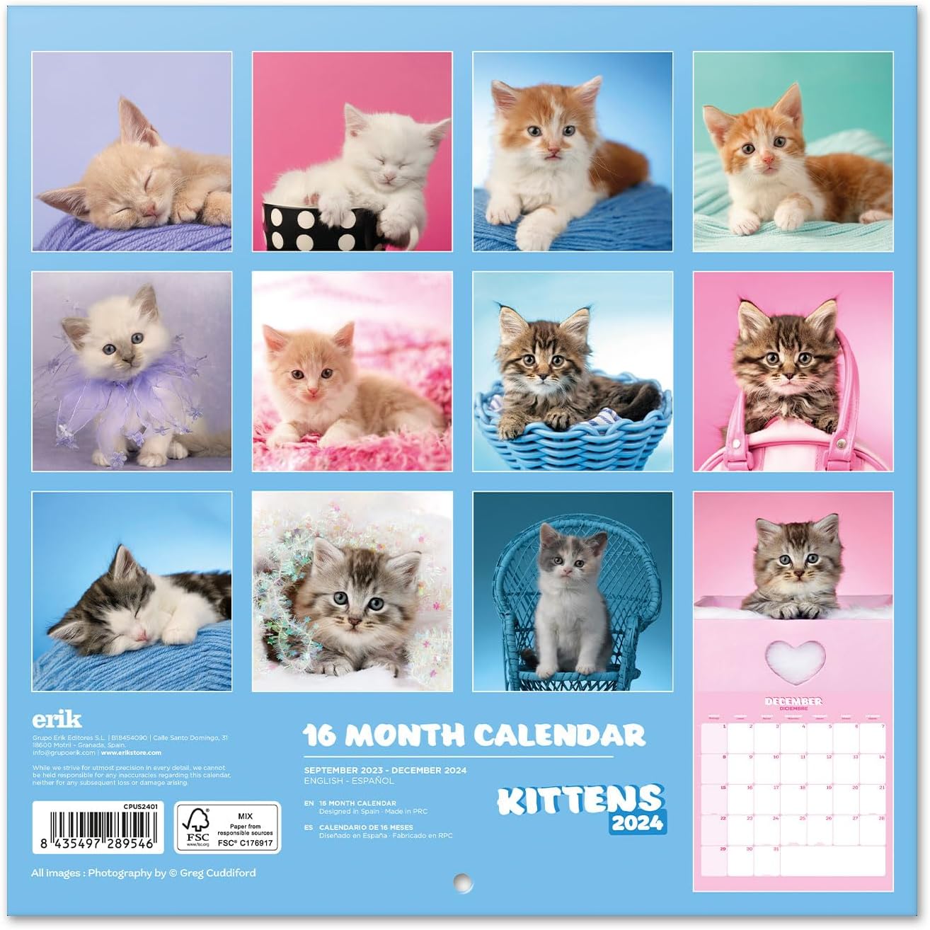 Calendario de pared de gatos 2024 de 12 x 12 pulgadas, libre de plástico FSC, comienza la semana el domingo, planificador de 12 meses, calendario de