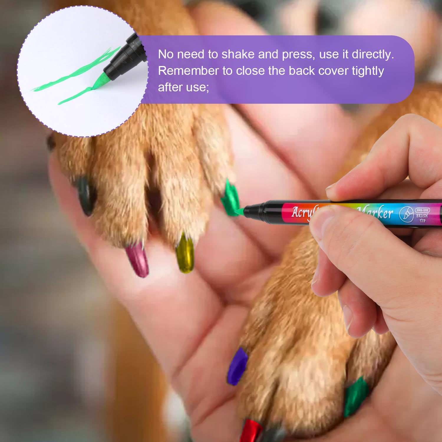 Bolígrafos de esmalte de uñas para perros, secado rápido, 12 colores seguros para perros, juego de esmaltes de uñas acrílicas, marcadores de pintura