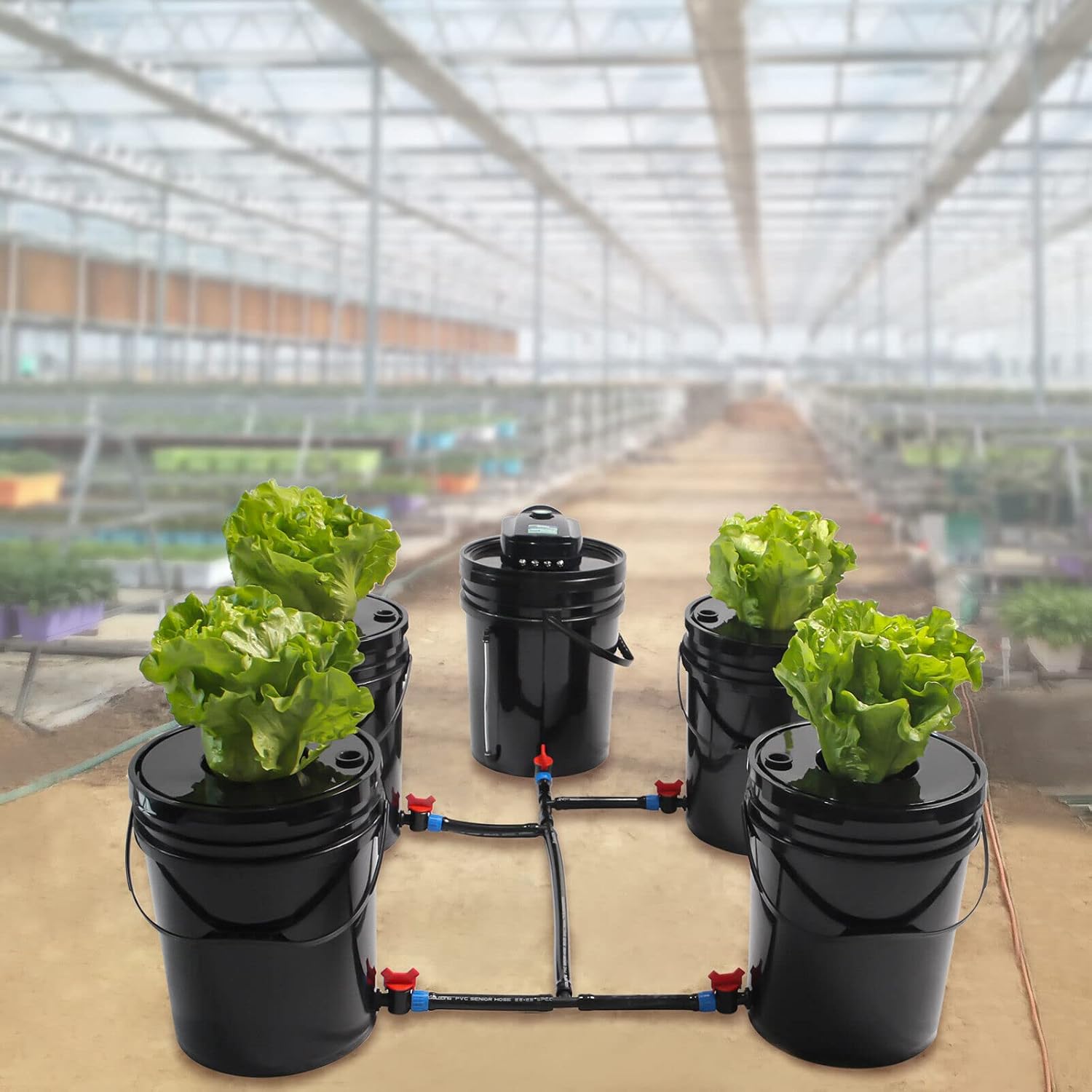 Sistema hidropónico DWC, kit de sistema de cultivo hidropónico DWC de 5 galones y 5 cubos, kit de cultivo hidropónico que incluye bomba de aire de