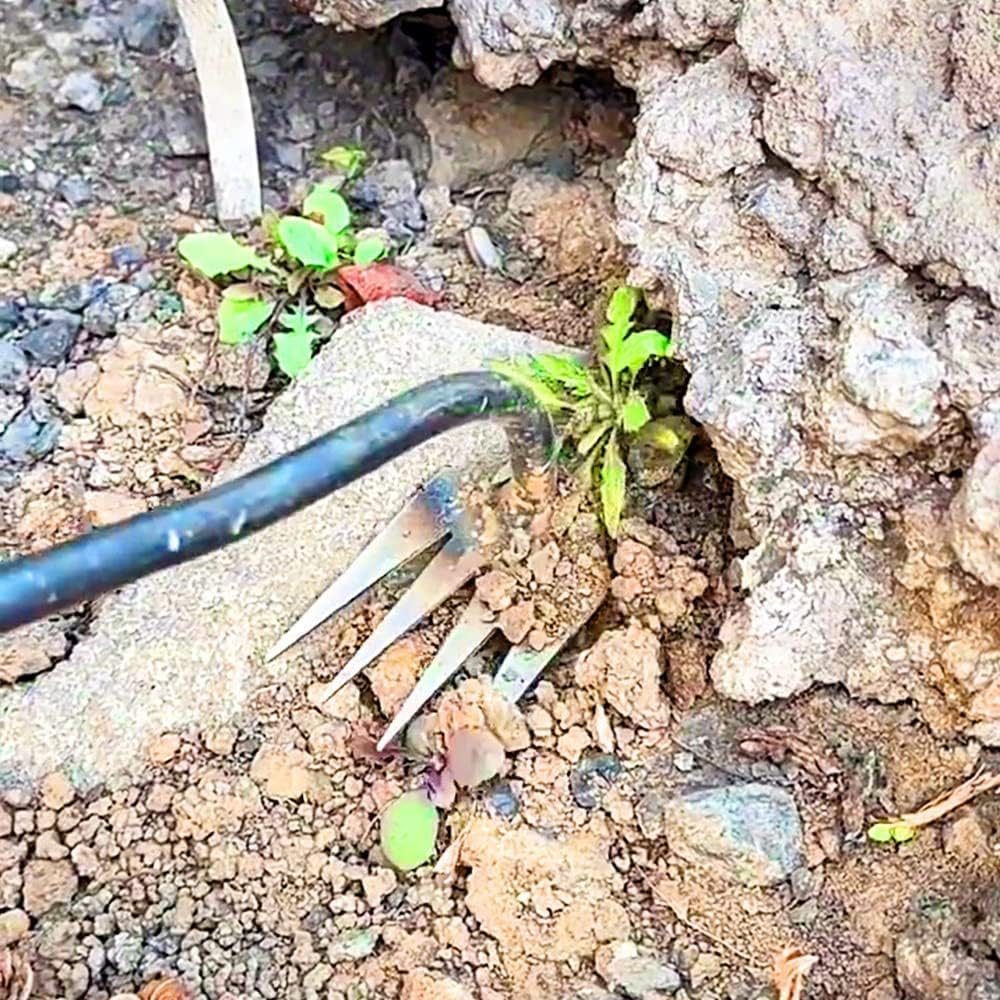 Herramienta de deshierbe de artefactos de deshierbe 2023, extractor de malezas forjado de acero al manganeso, 4 dientes, desmalezadora de doble
