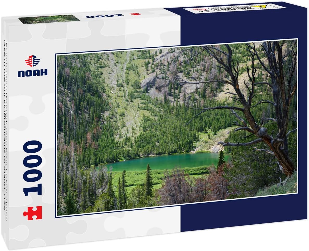 Noah – Rompecabezas de 1000 piezas con vista panorámica a través del bosque de pinos de un lago alpino en las montañas rocosas de Idaho, EE. UU