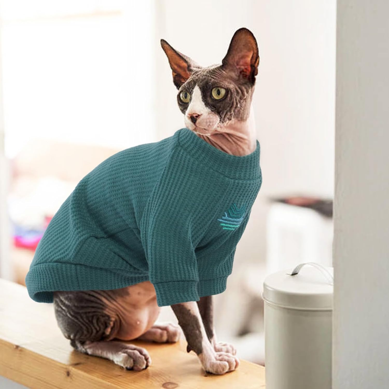 ROZKITCH Sphynx – Ropa de gato, camisa transpirable sin pelo con mangas, suéter de cuello alto para gatito, pijama para Cornish Rex, Devon Rex,