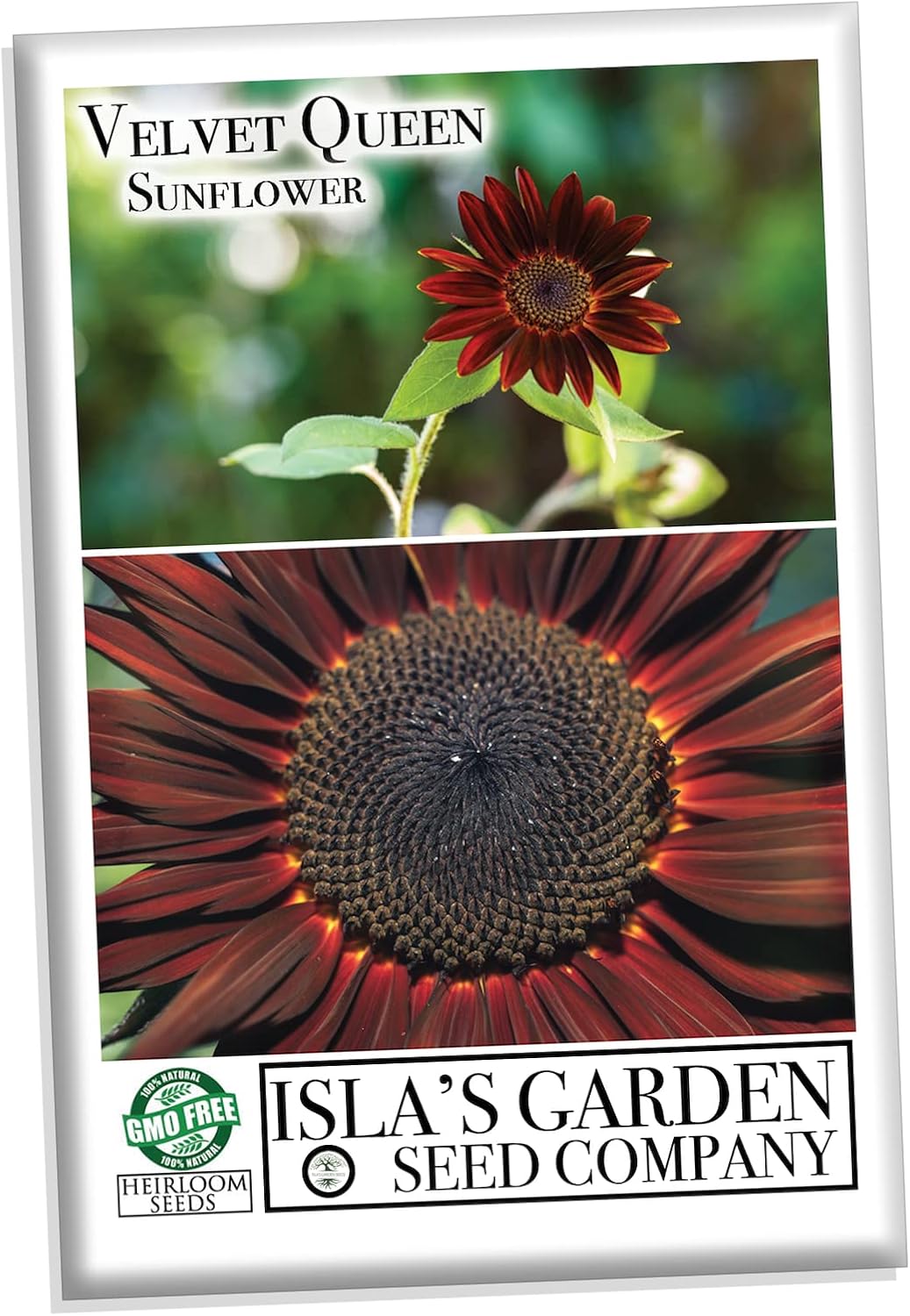 Velvet Queen Mix – Semillas de girasol para plantar, más de 50 semillas por paquete, semillas de jardín de Isla (semillas de jardín de Isla),