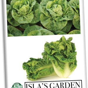 Semillas de lechuga Butterhead “Little Gem” para plantar, más de 1000 semillas de reliquia por paquete, semillas de jardín de Isla (semillas de Semillas de lechuga Butterhead “Little Gem” para plantar, más de 1000 semillas de reliquia por paquete, semillas de jardín de Isla (semillas de