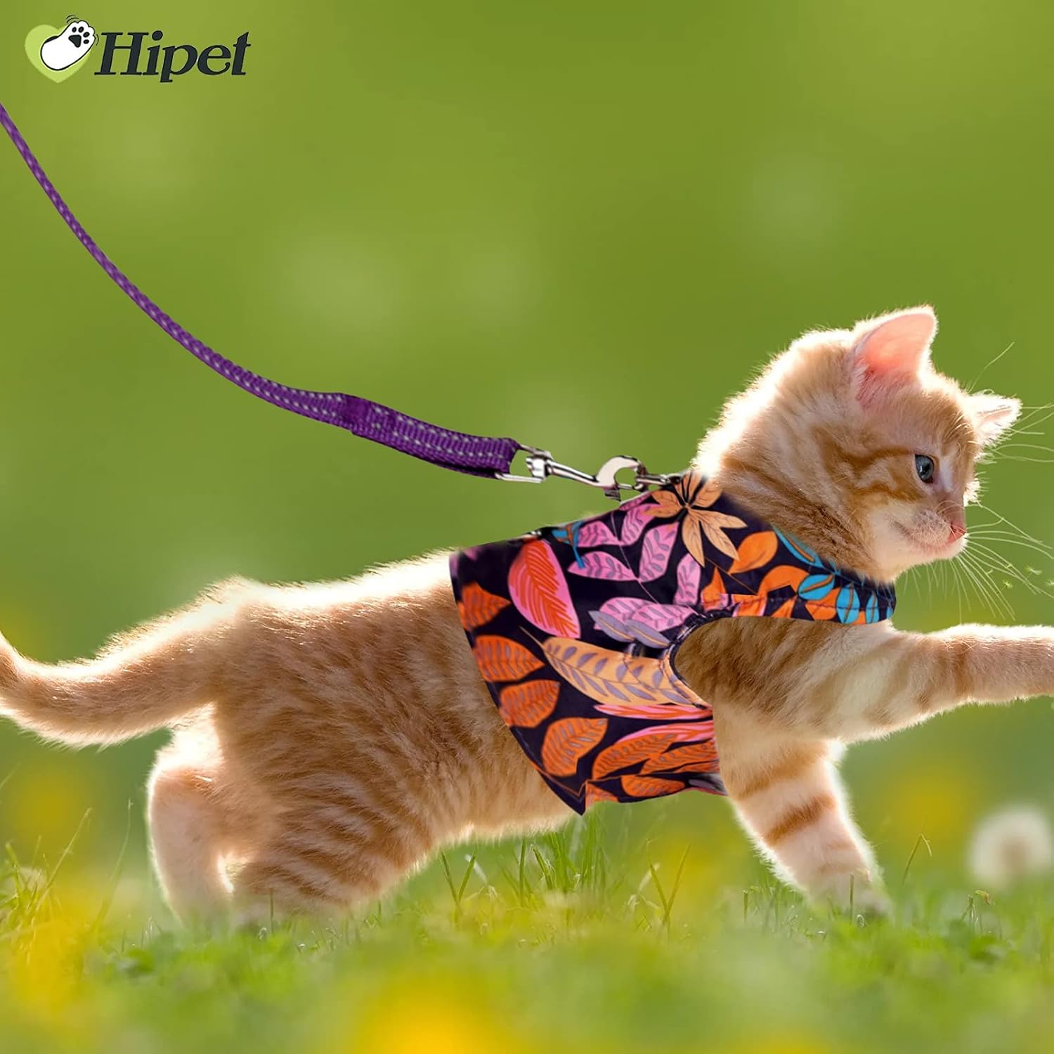Arnés y correa para caminar, a prueba de escapes, tela de malla de aire, chaleco para caminar al aire libre con tiras reflectantes para gatos lindos