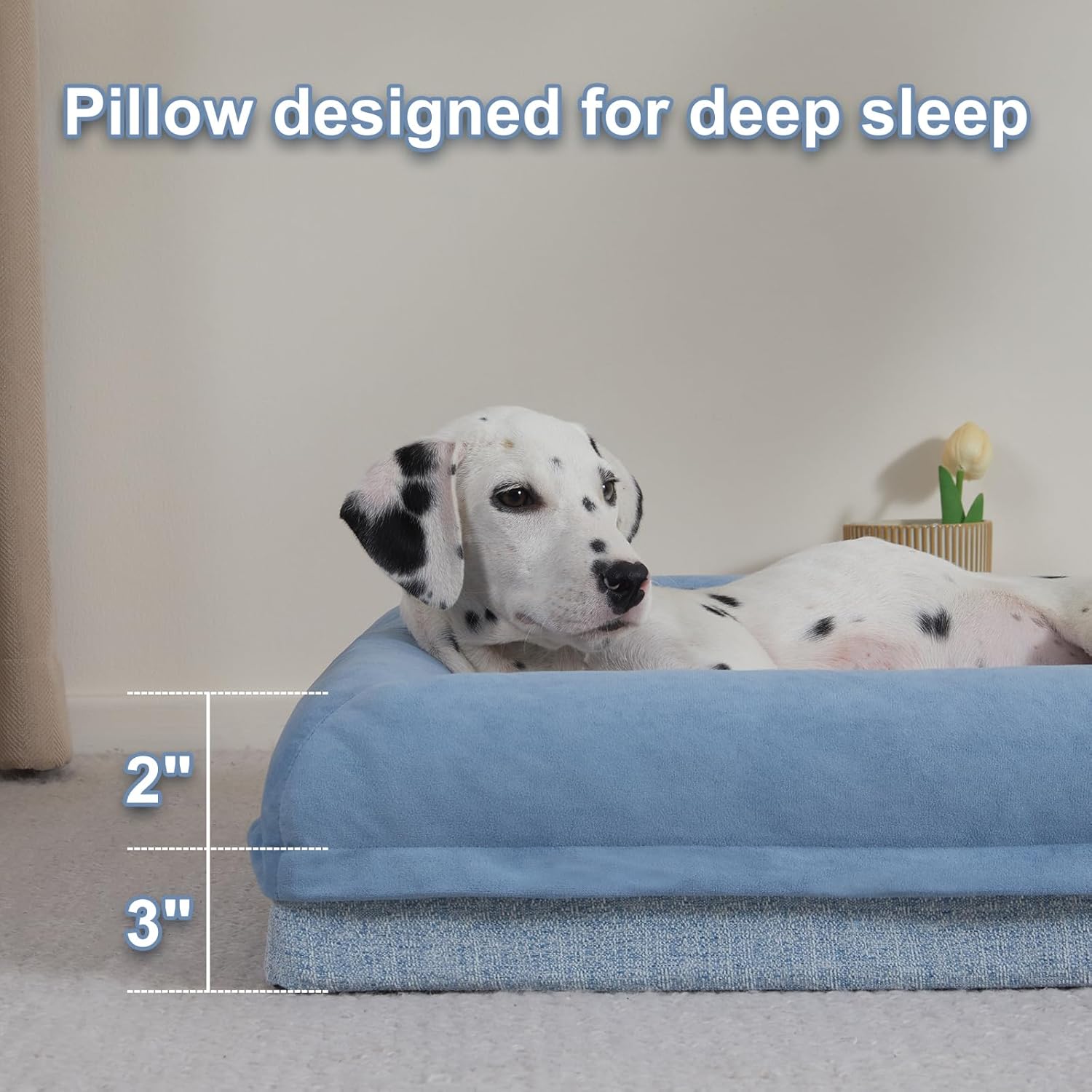 Jiupety Cama ortopédica para perros medianos, cama de espuma impermeable para perros con funda extraíble lavable, sofá para perro con caja de