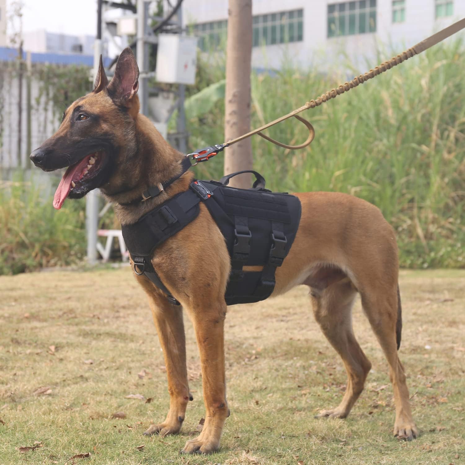 ICEFANG – Arnés táctico para perro con 6 hebillas, chaleco con sistema molle con asa para perro, 34 del cuerpo, panel con velcro para parche de