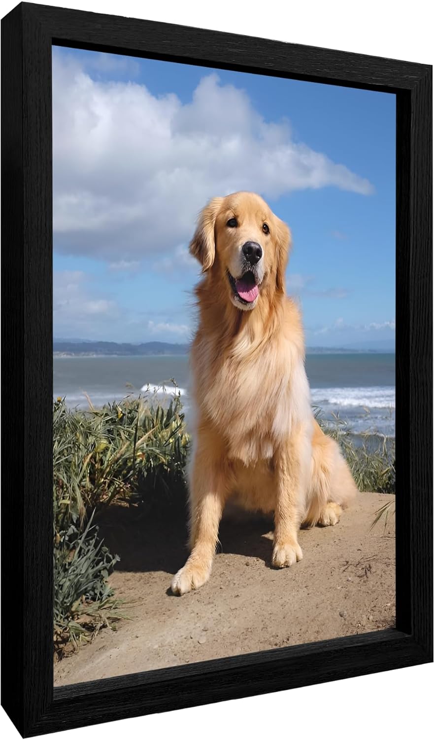 Impresiones en lienzo personalizadas con tus fotos para mascotas, impresiones de fotos familiares personalizadas, lienzo enmarcado para pared (10 x