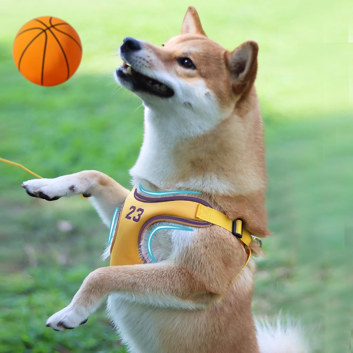 KCUCOP Arnés para perro para perros pequeños y medianos, diseño sin estrangulamiento, acolchado de malla suave, ideal para caminar cómodamente,