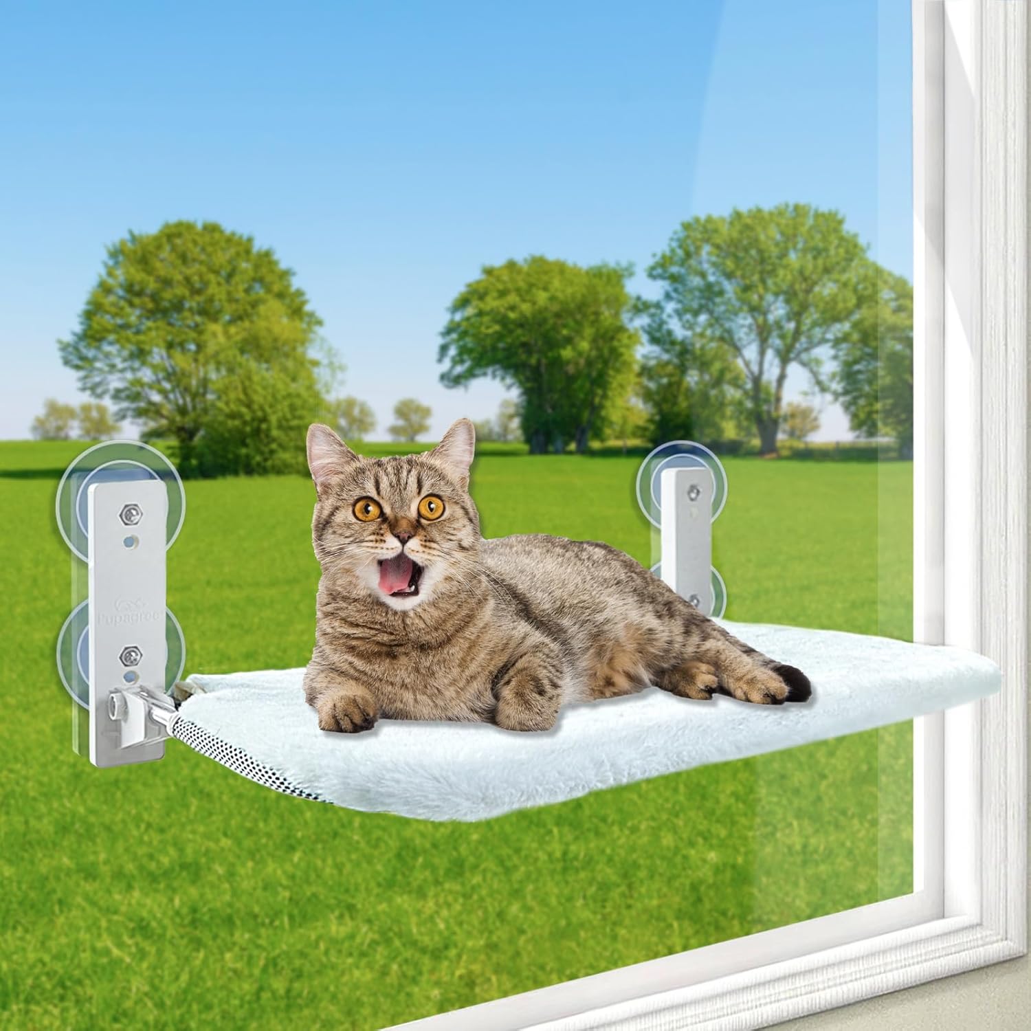 PUPAGREE Percha plegable inalámbrica para ventana de gato, hamaca para ventana y pared, con 4 ventosas, marco de setal resistente para ventanas de