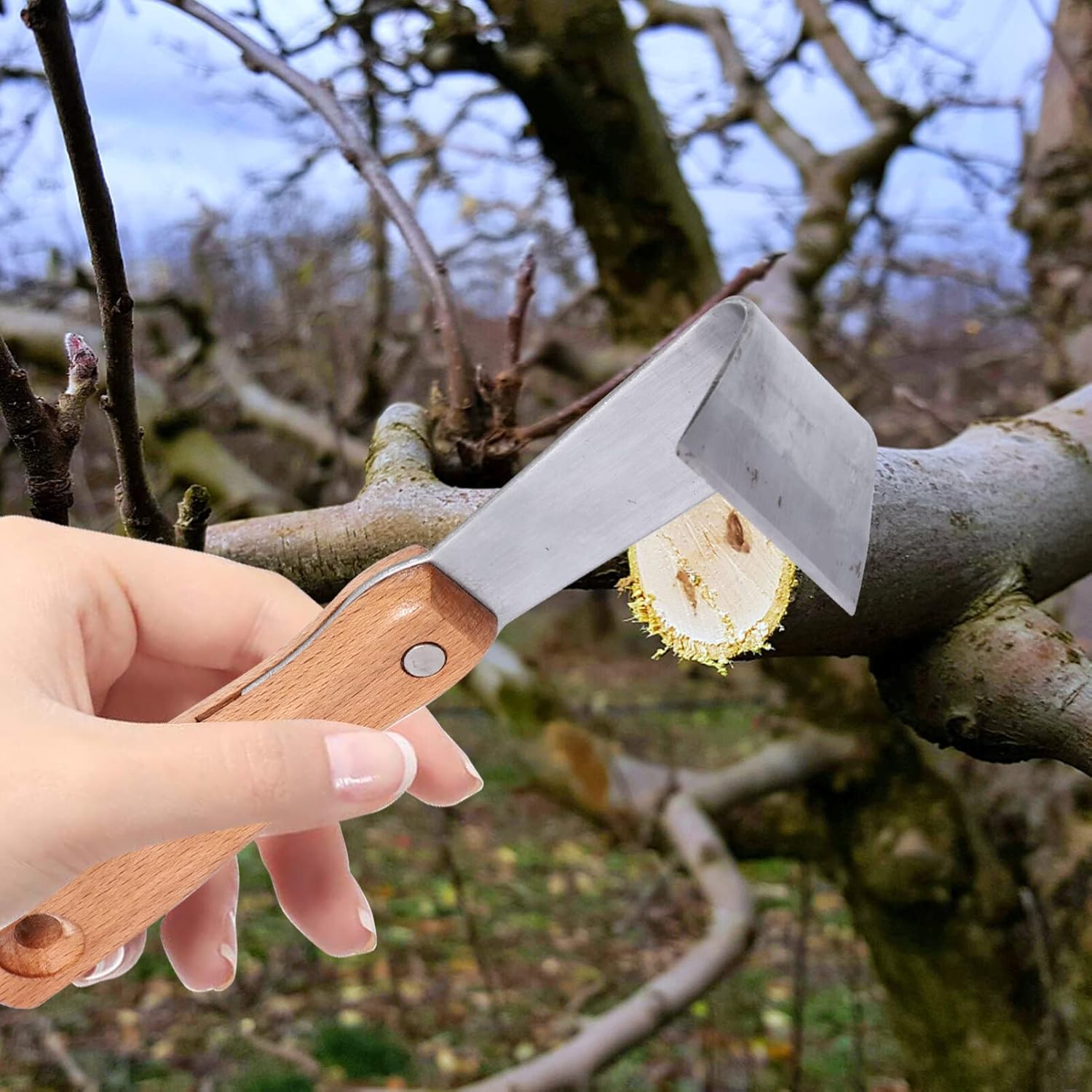 Housoutil Herramientas de mano herramienta de afeitado de corteza de espada de corteza, 2 piezas, pelador de troncos, cortador de injerto de árbol,