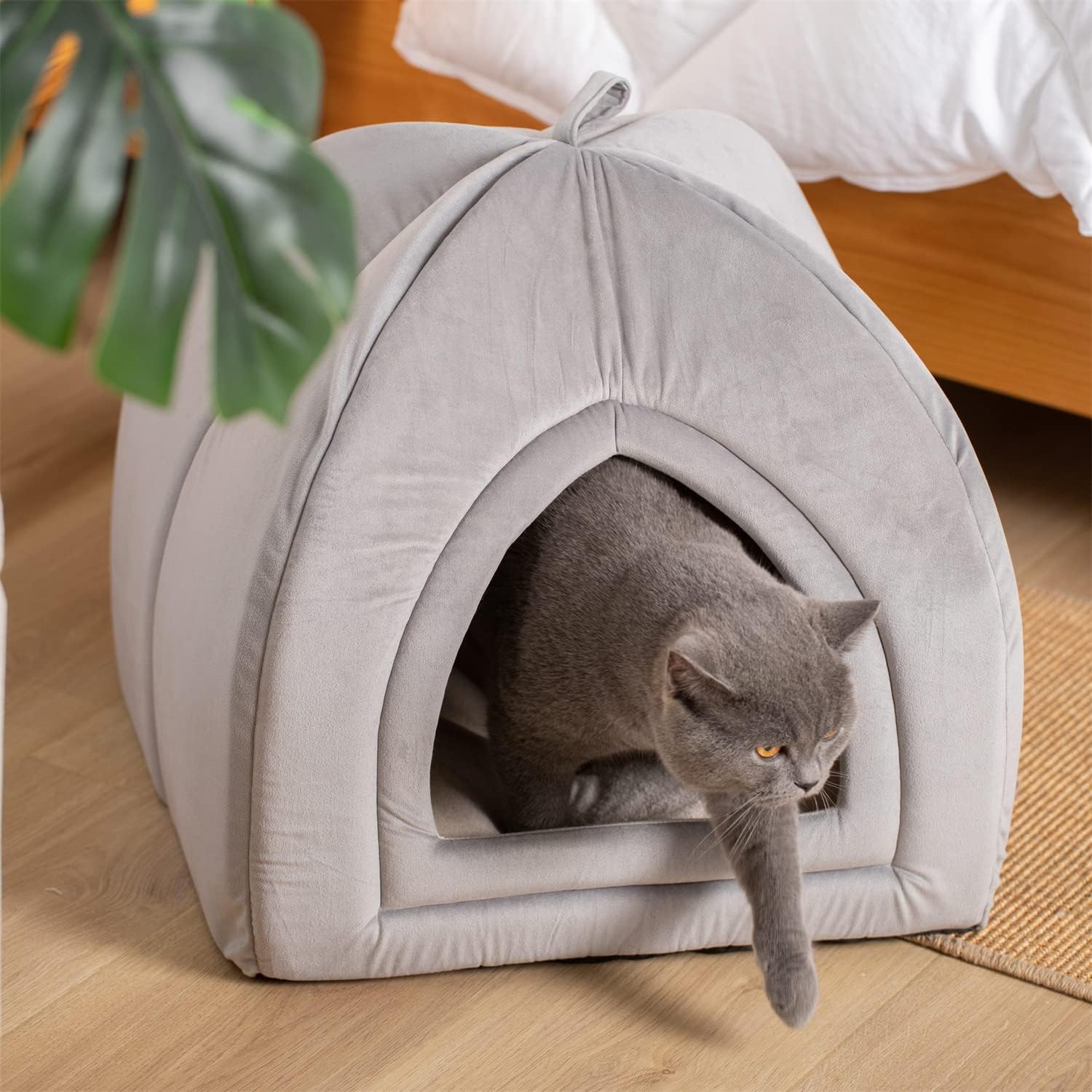 KASENTEX Cama para gatos de interior, cama 2 en 1 para gatos y suministros para mascotas para gatitos y gatos pequeños o perros, cueva de animales,
