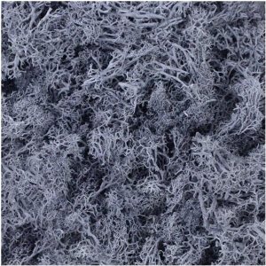 homeemoh Musgo decorativo artificial, 1.41 ozpaquete, planta de musgo falso preservada para plantas en maceta, decoración de jardín, decoración de homeemoh Musgo decorativo artificial, 1.41 ozpaquete, planta de musgo falso preservada para plantas en maceta, decoración de jardín, decoración de