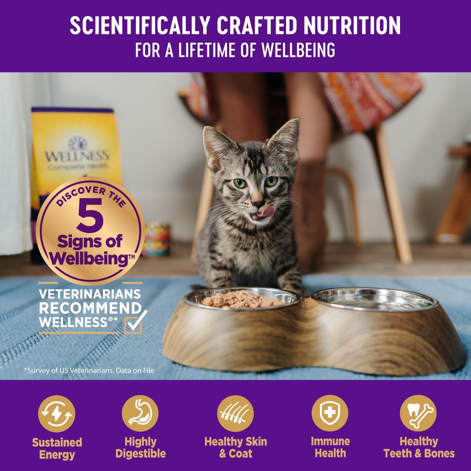 Wellness Complete Health Alimento enlatado húmedo para gatos, sin granos, ingredientes naturales, hecho con carne real, para todas las razas, paté
