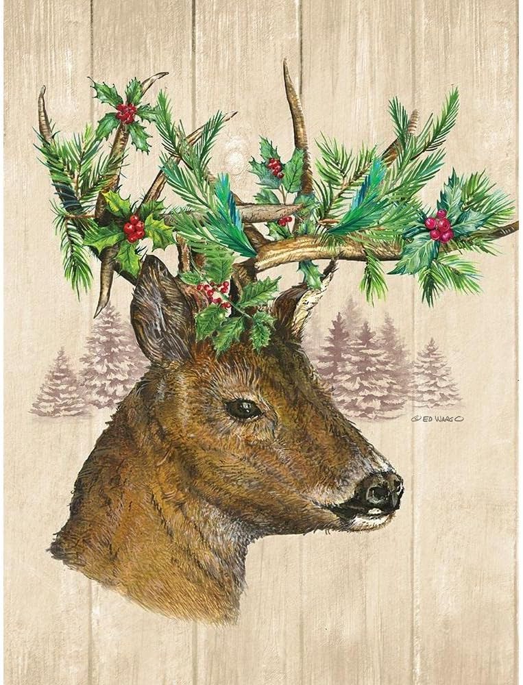 ArtDirect Holiday Deer 15×18 Gallery Wrapped Canvas Museum Art by Wargo, Ed