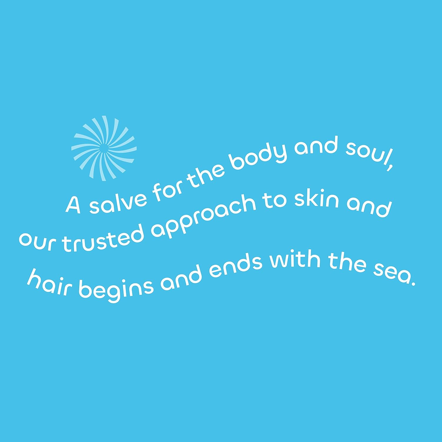 Seaweed Bath Co. Detox – Jabón en barra corporal y facial, 3.75 onzas (paquete de 2), algas marinas cosechadas de forma sostenible, carbón, ceniza