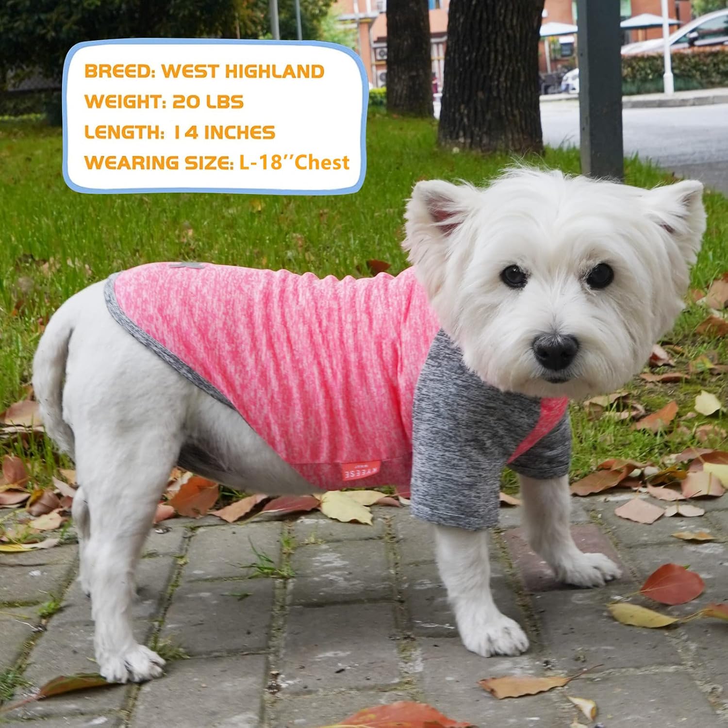 KYEESE Paquete de 2 camisas para perro de secado rápido, transpirables, ligeras, elásticas, protegen contra las colas de zorra, camiseta para perro