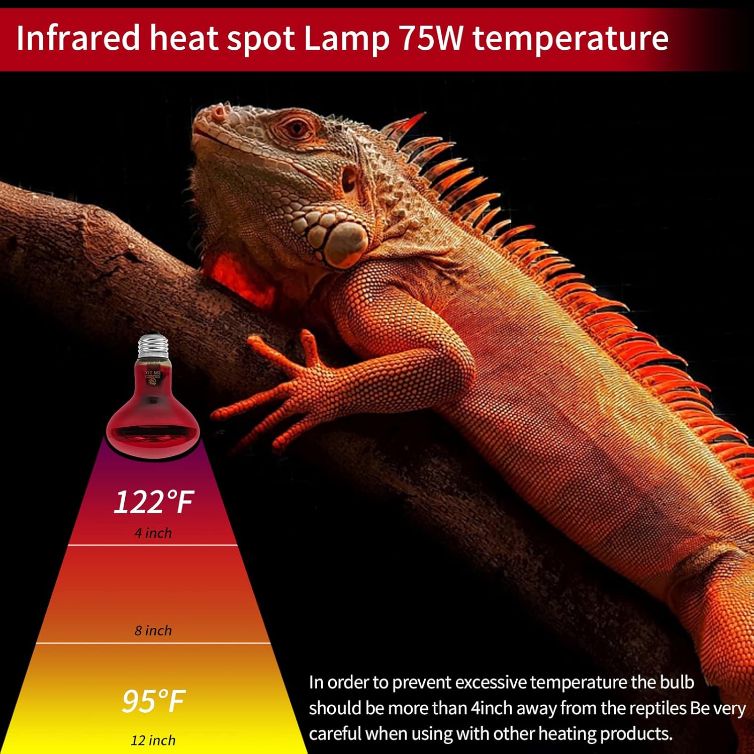 REPTI HOME Paquete de 3 bombillas infrarrojas de calor para reptiles, 75 W, para reptiles y anfibios, bombilla infrarroja emisora de calor para
