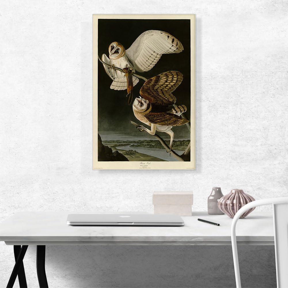 ARTCANVAS John James Audubon – Póster de lienzo con marco estirado, diseño de búho granero, decoración de pared giclée, 26 x 18 pulgadas (0.75