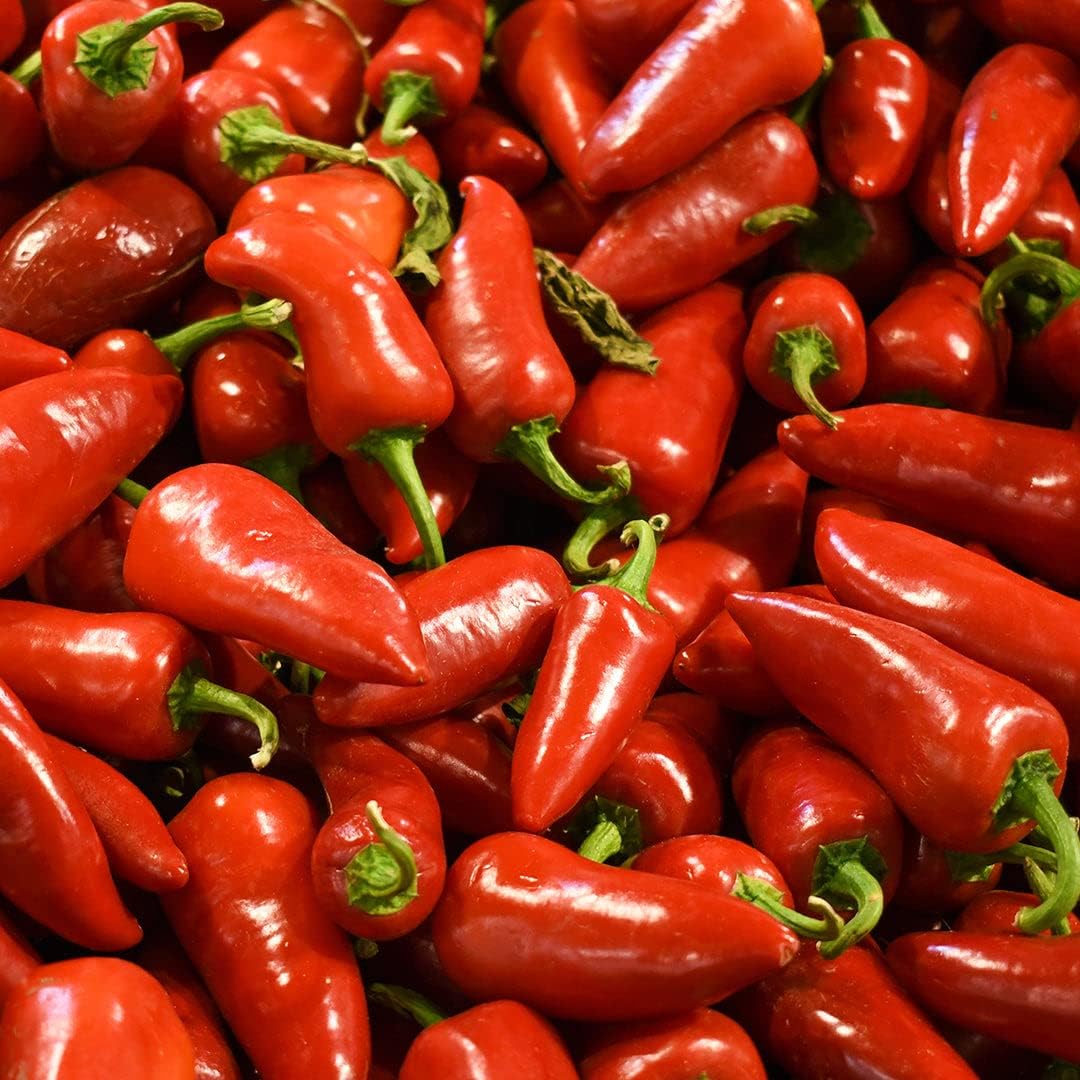 Pepper Joe’s Semillas de pimiento dulce de jalapeño – Paquete de 10 semillas de pimiento jalapeño rojo dulce – Cultivadas en Estados Unidos –