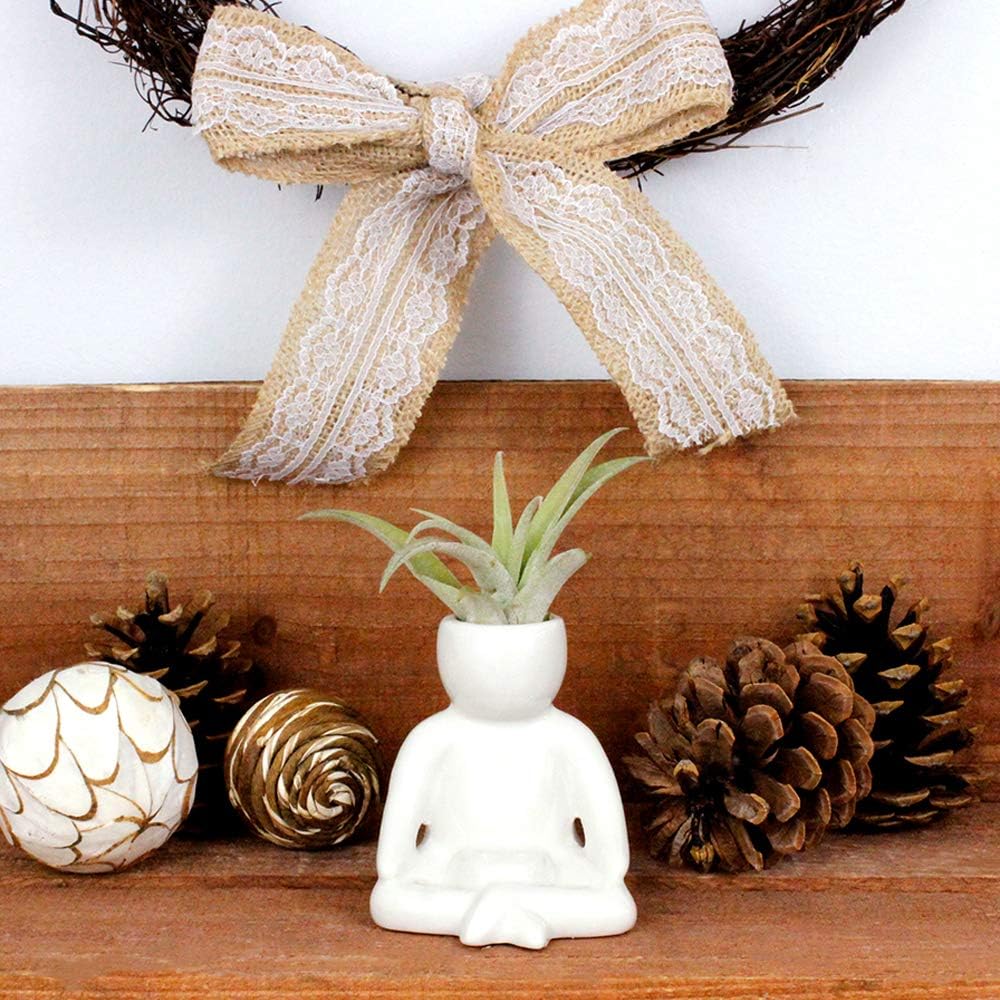 Maceta de cerámica blanca de 3.25 pulgadas con forma de persona con planta de aire Tillandsia viva, plantas de aire de interior en maceta para