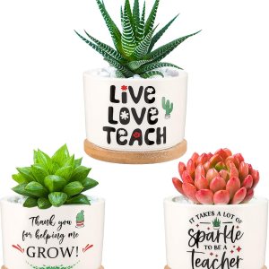 PARBEE Regalos de agradecimiento para profesores Thank You for Helping Me Grow – Macetas para suculentas, mini maceta de cerámica, regalo de PARBEE Regalos de agradecimiento para profesores Thank You for Helping Me Grow – Macetas para suculentas, mini maceta de cerámica, regalo de