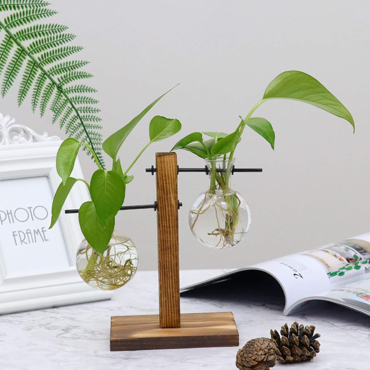 Jarrón de cristal para maceta, kit de terrario para plantas de escritorio con soporte de madera maciza retro para plantas hidropónicas, hogar,