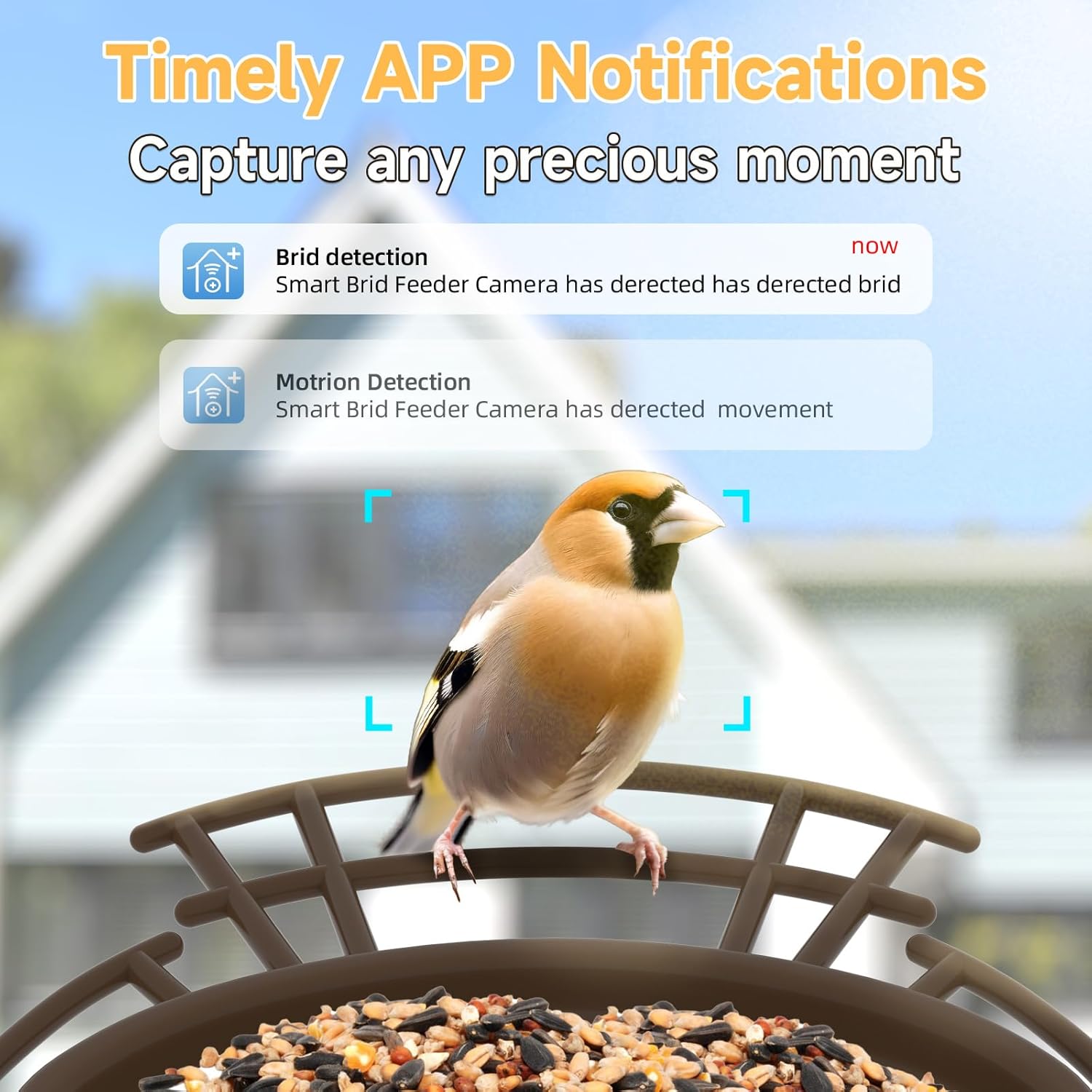 SuplutuX Comedero inteligente para pájaros con cámara AI para identificar más de 11000 especies de aves, alimentador solar para pájaros de captura