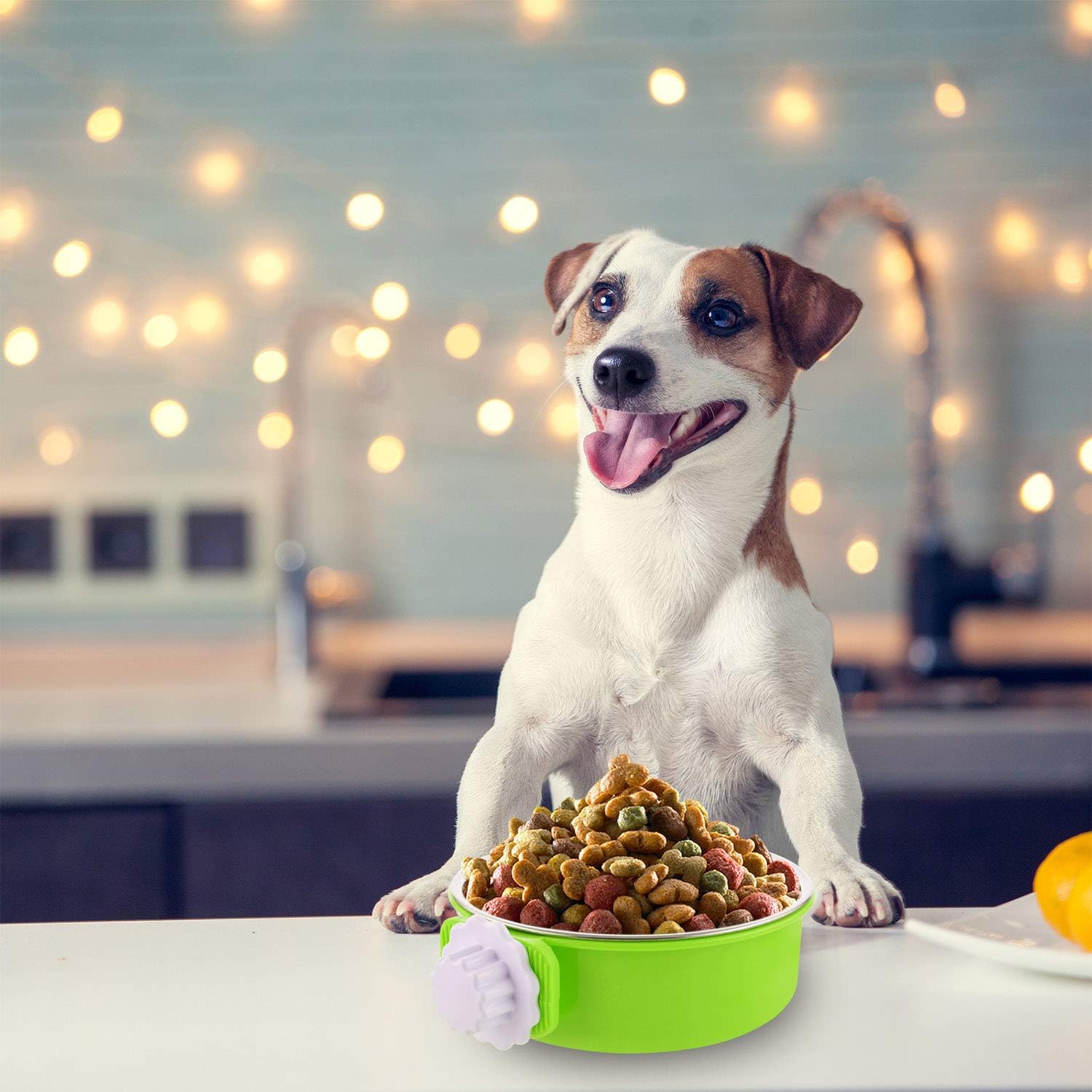 Cuenco extraíble de acero inoxidable para perros, comedero de alimentos y agua, taza para gatos, cachorros, pájaros, mascotas (grande, verde)